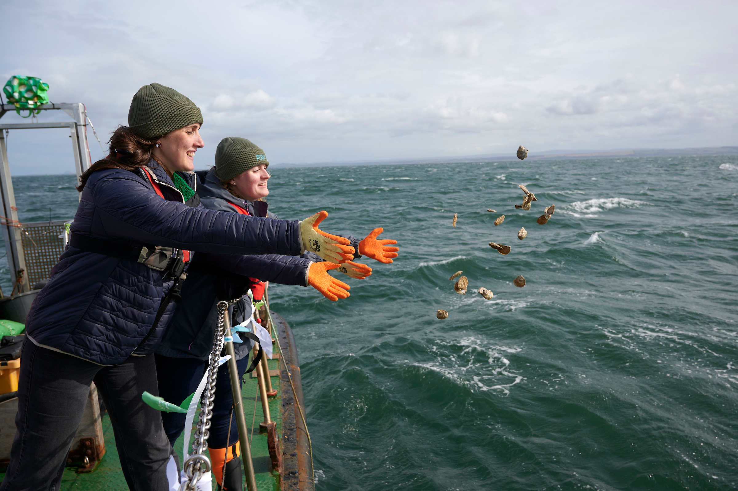 Two women on a boat throwing oysters into the sea