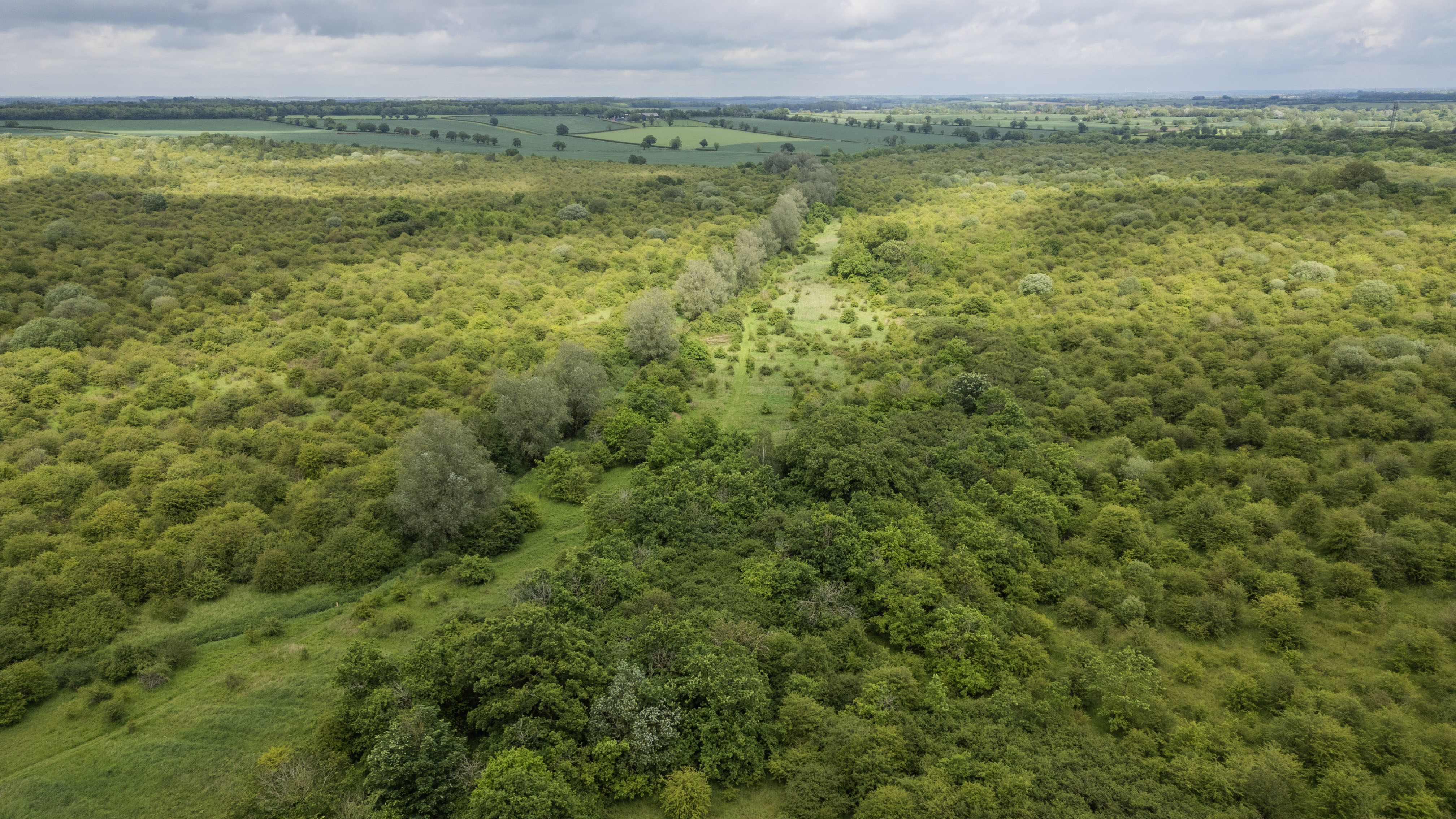 Drone footage of Strawberry Hill in May