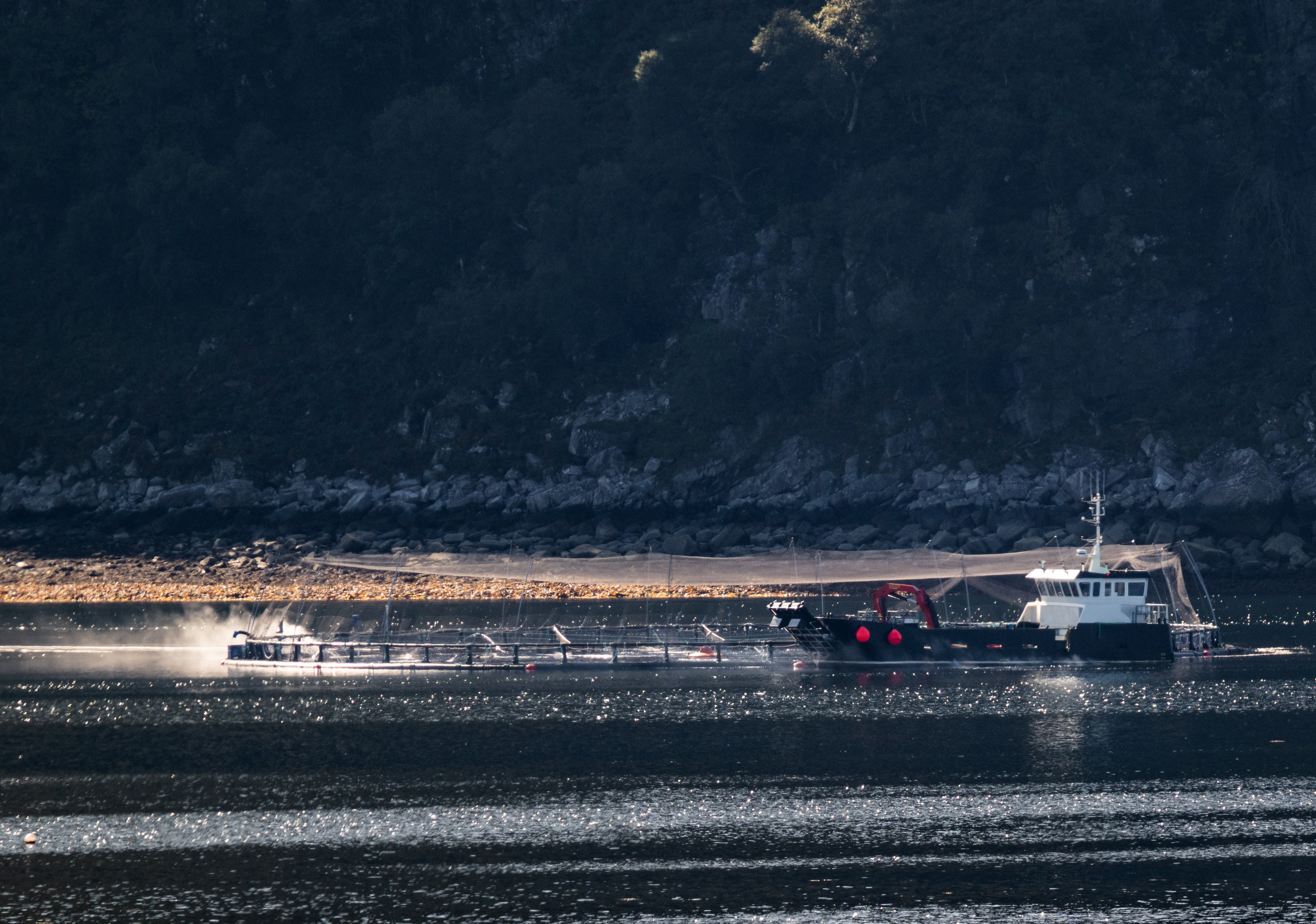 A view of Mowi's fish farm in Loch Hourn. (HEIF/European Nature Trust/Gethin Chamberlain)