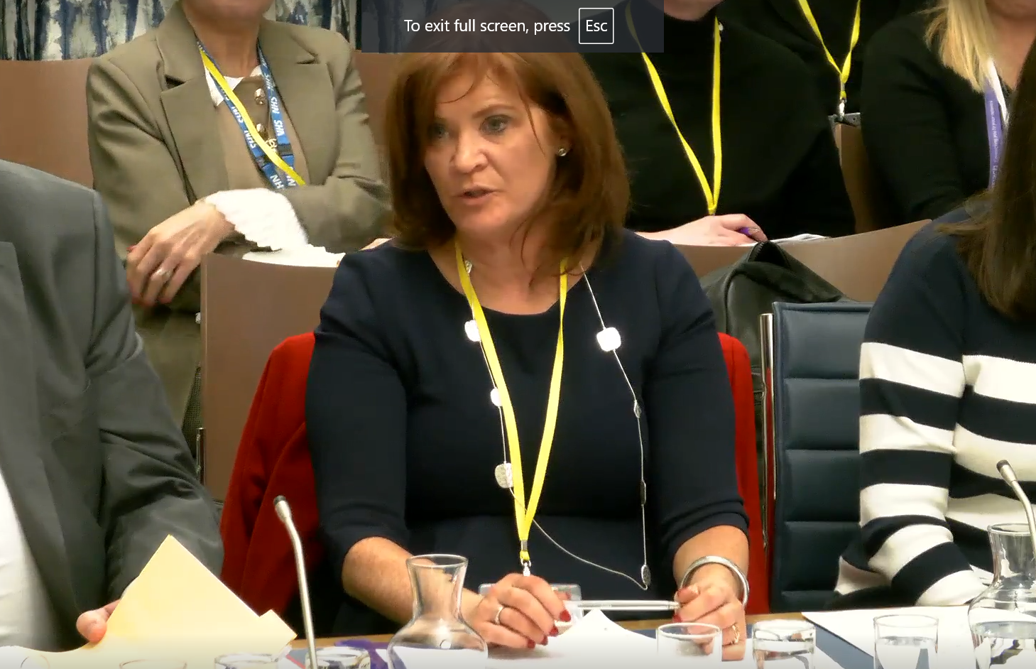 Maureen Edwards in the NI Assembly