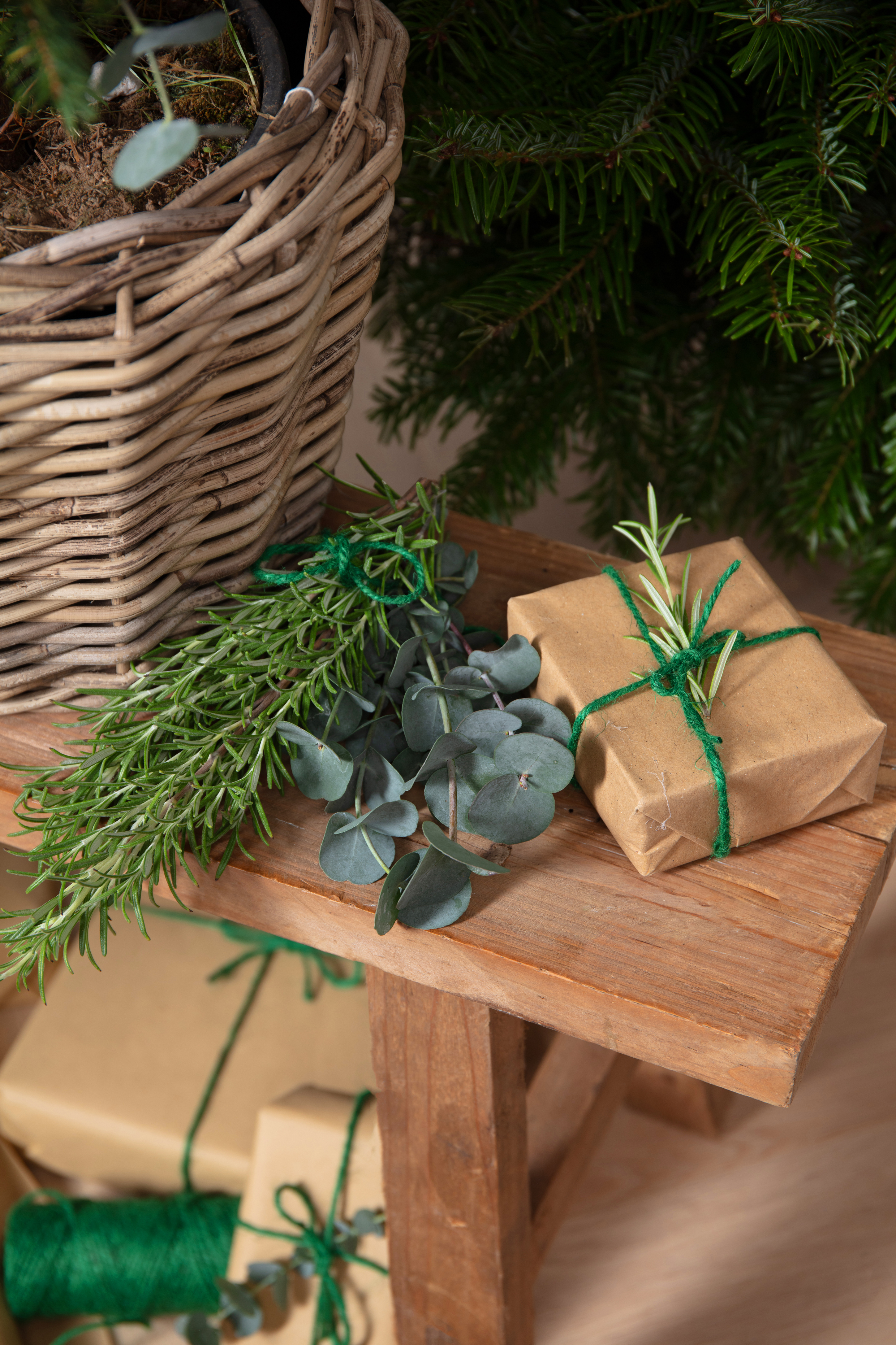 Rosemary and eucalyptus on a Christmas present (Dobbies Garden Centres/PA)