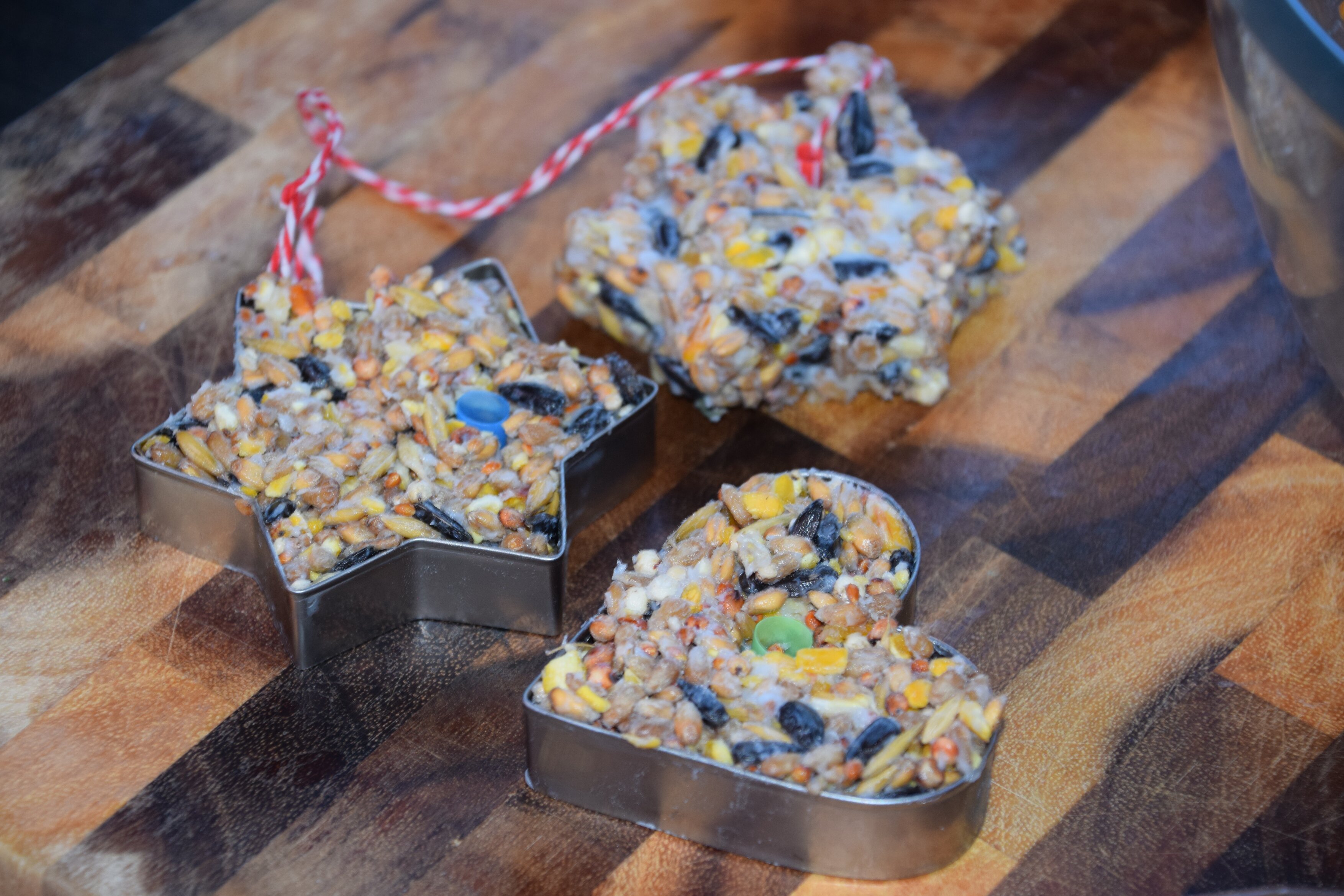 Bird seed cookies made from lard and seeds (Steph Habeshis/RHS/PA)