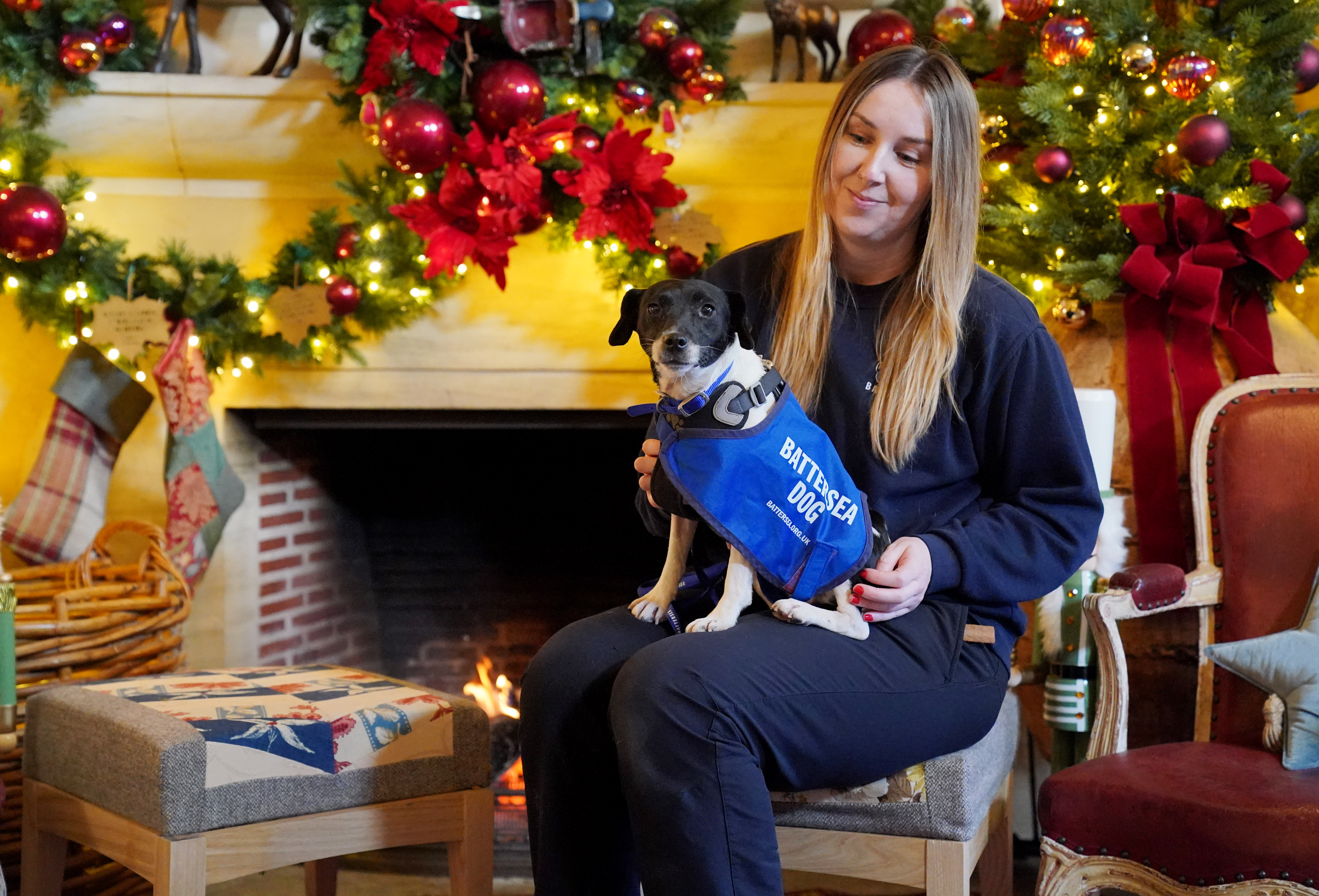 Dog handler Chloe Wainwright with Harper, a Jack Russell terrier, at Highgrove