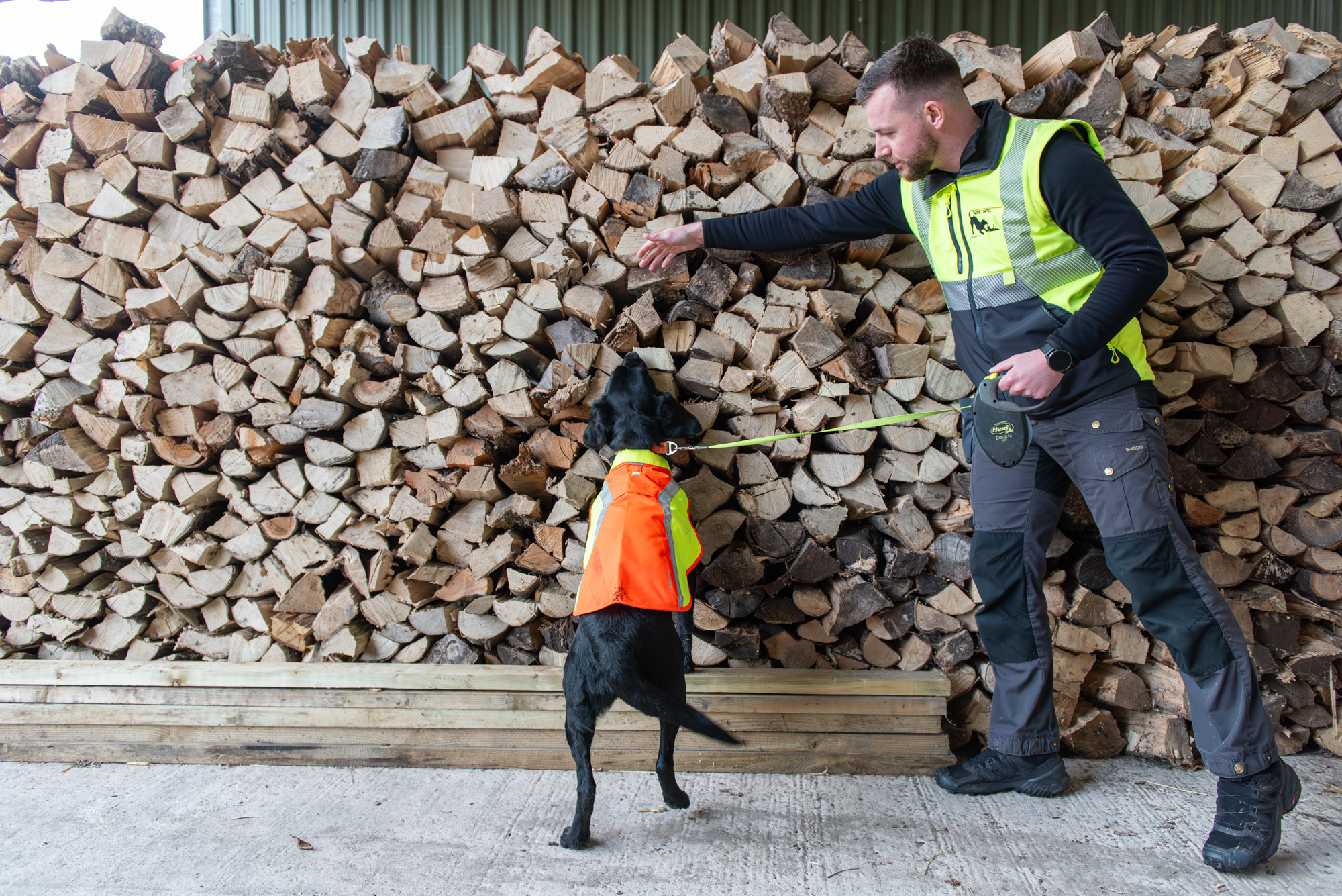 Ivor the sniffer dog is trained at Bents Garden Centre. (Forest Research and Canine Assisted Pest Eradication)