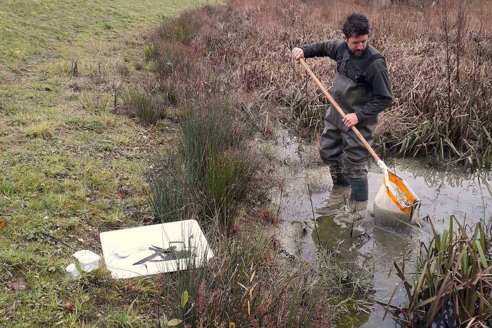 A man standing in a pond with a large net