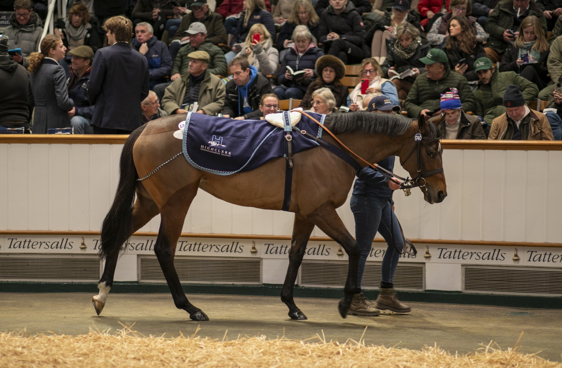 Believing at the Tattersalls December Mares Sale