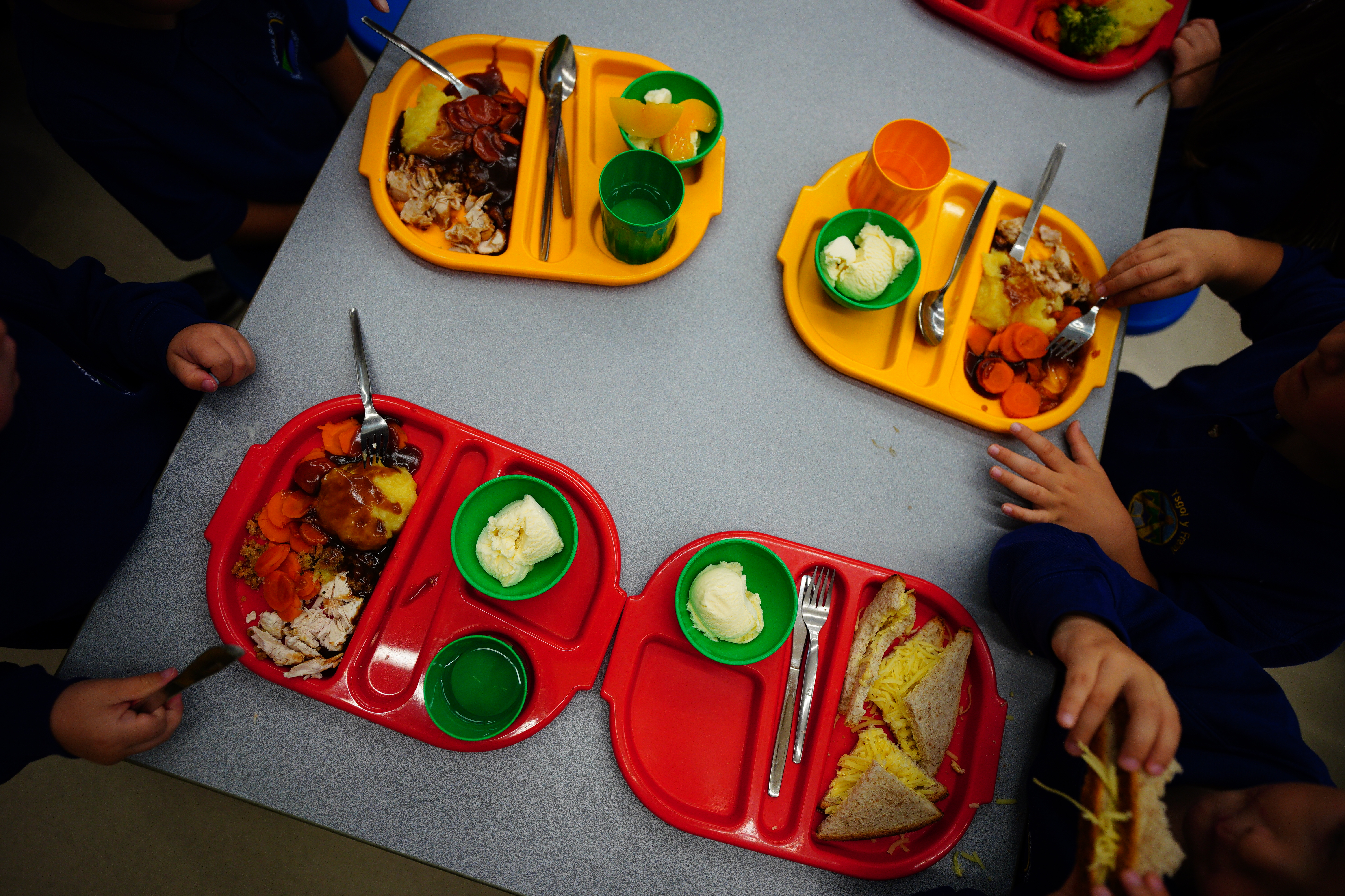 School meals from above