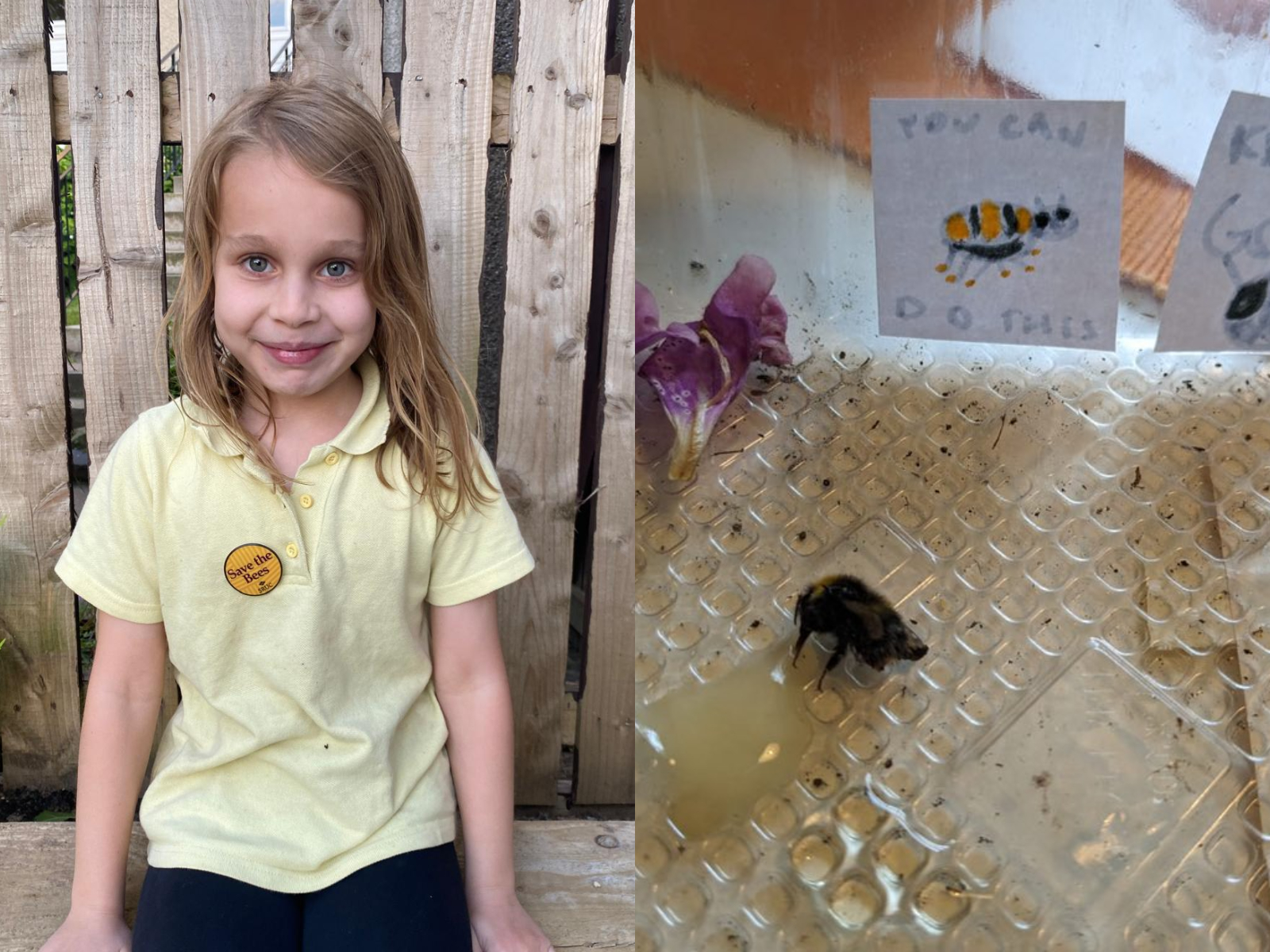 Composite image of a young girl dressed a yellow school uniform (left) and a tired bumblebee eating honey in front of handmade motivation poster made by the girl (right(