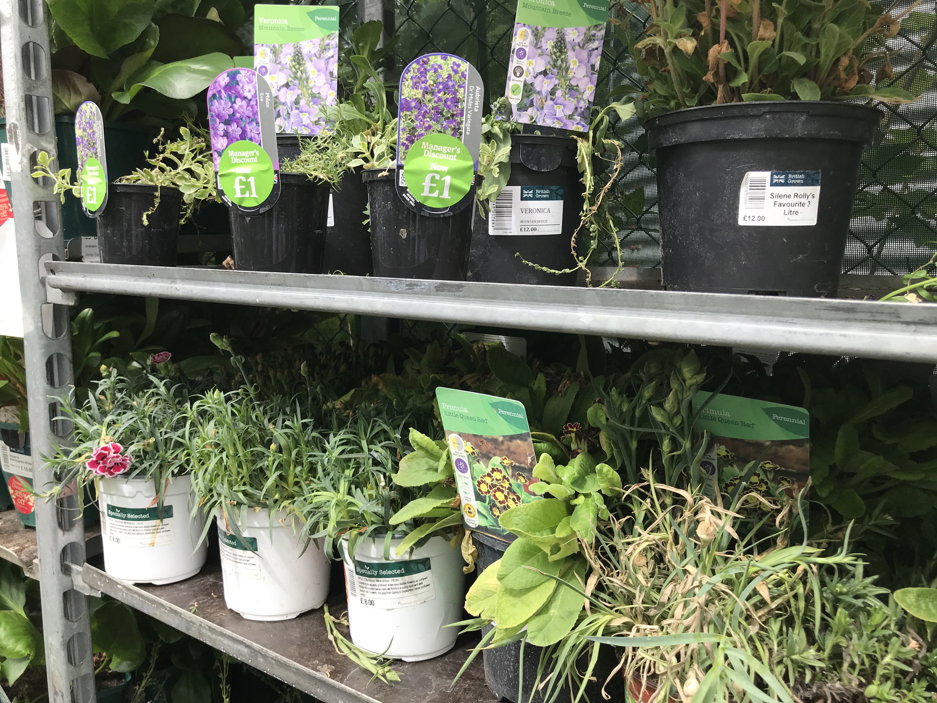 Aline of sale plants (Hannah Stephenson/PA)