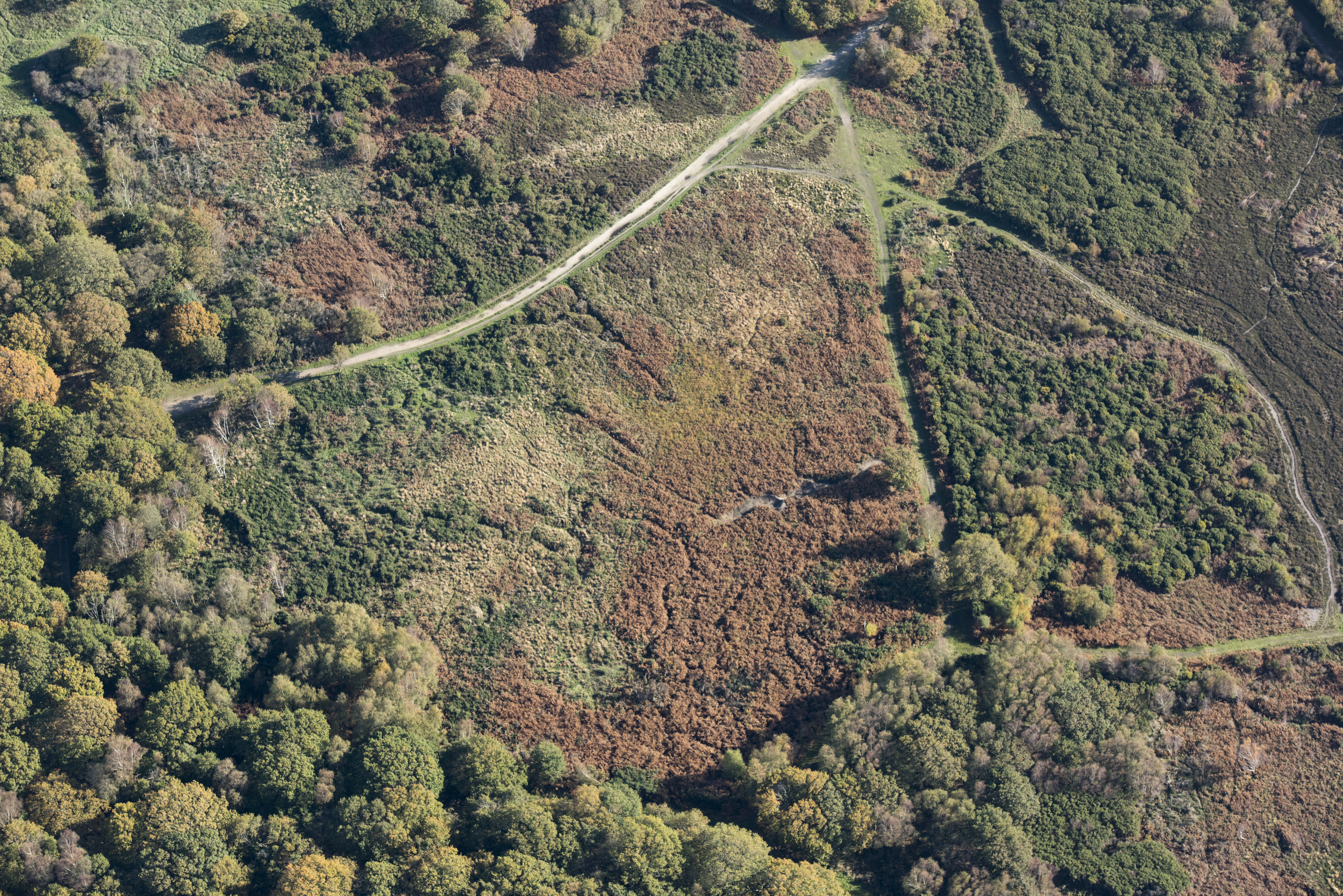 An aerial view of the Browndown First World War practice trenches 