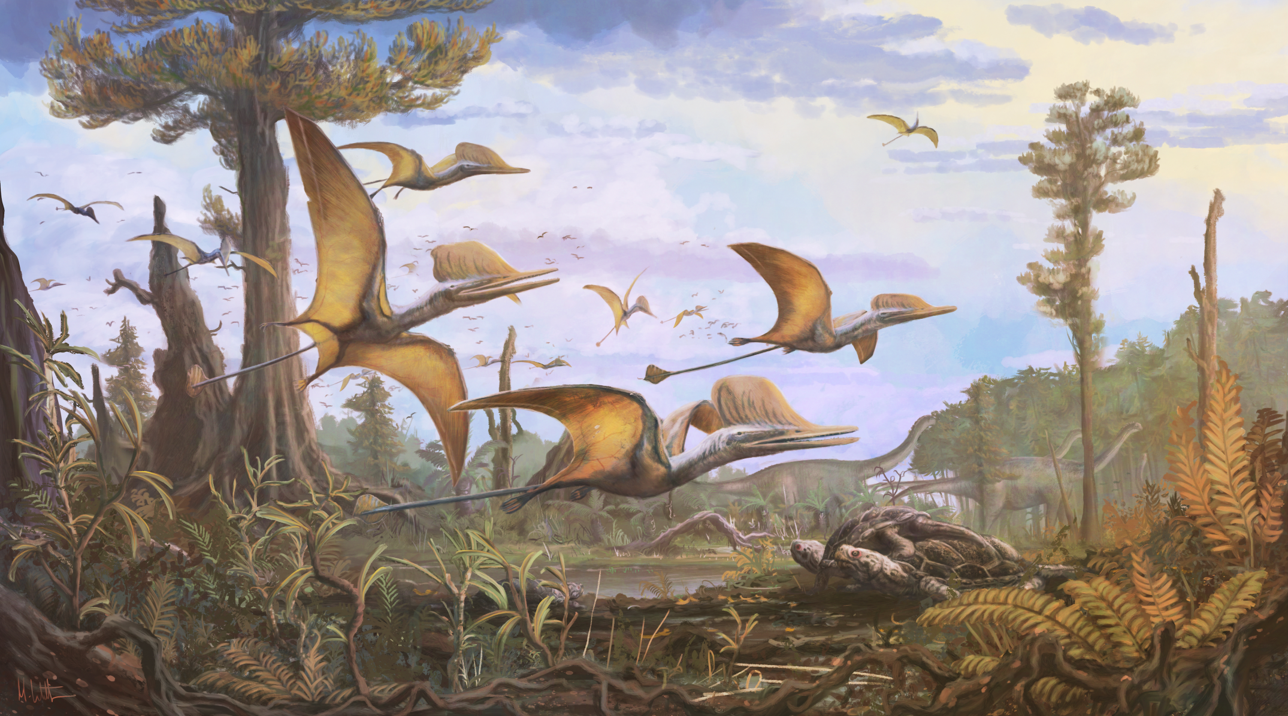 Ceoptera evansae - a pterosaur described from the Isle of Skye with an estimated wingspan of 1.6 metres