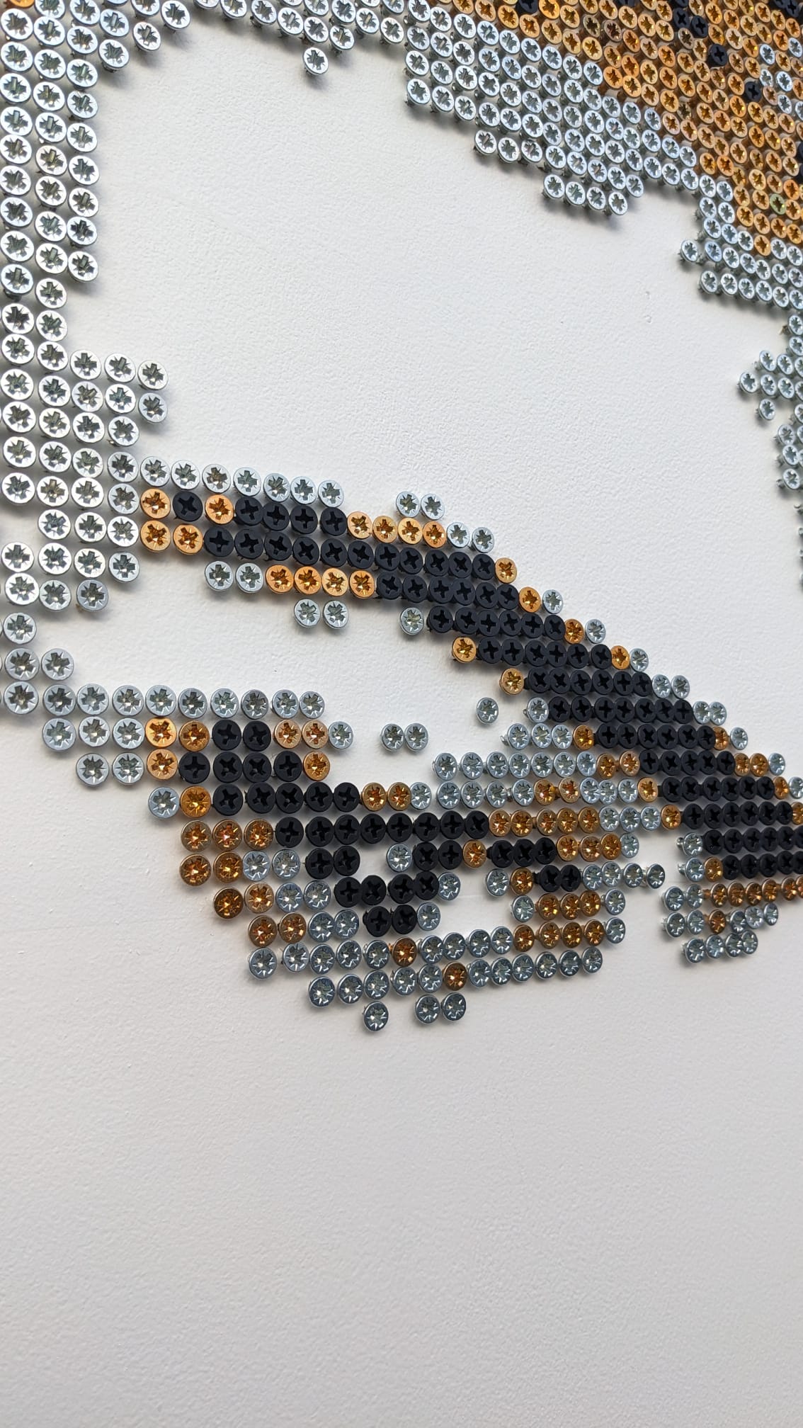 Eye made of screws 