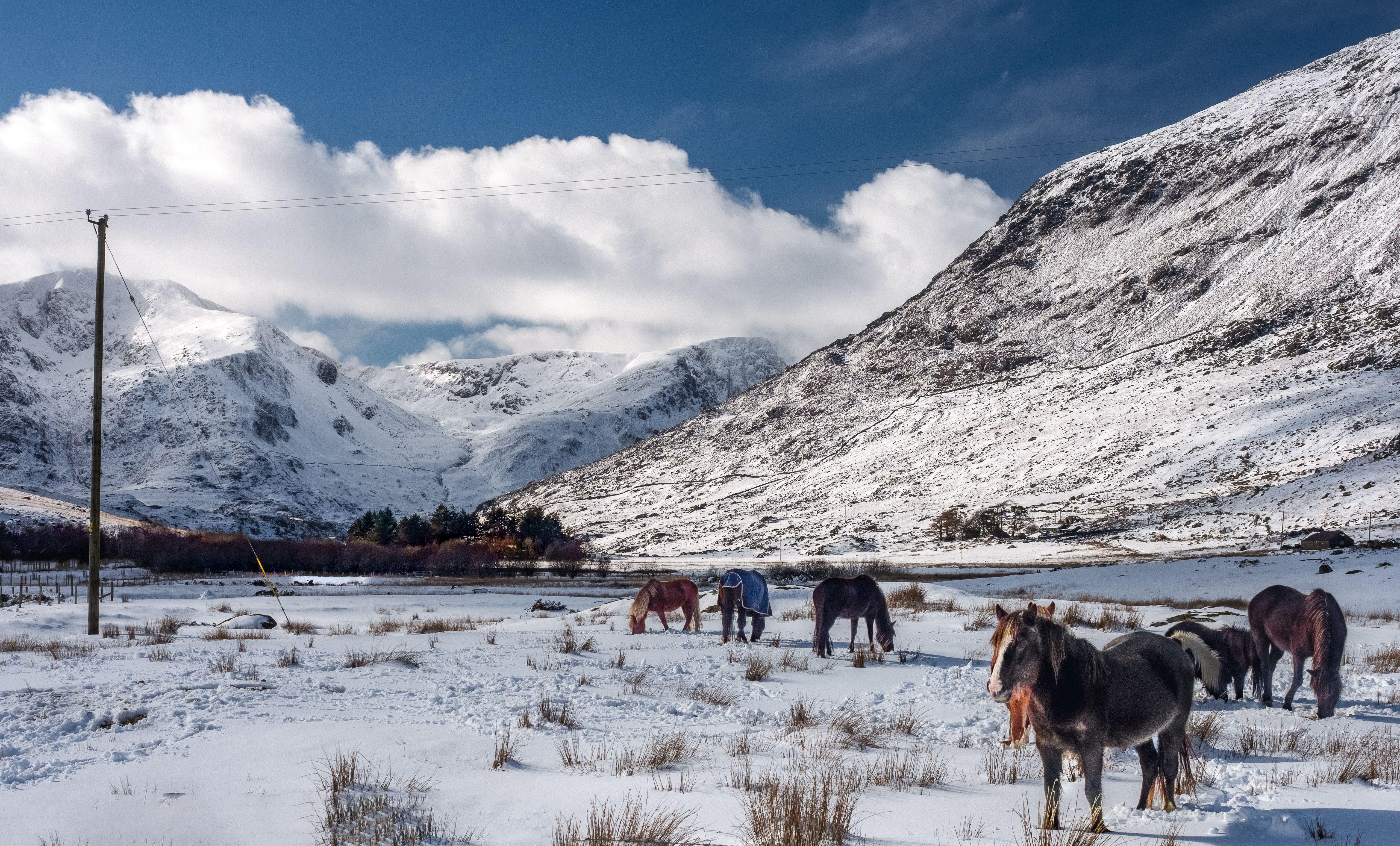 Snow covered Ogwen Valley in winter, Snowdonia, Wales 