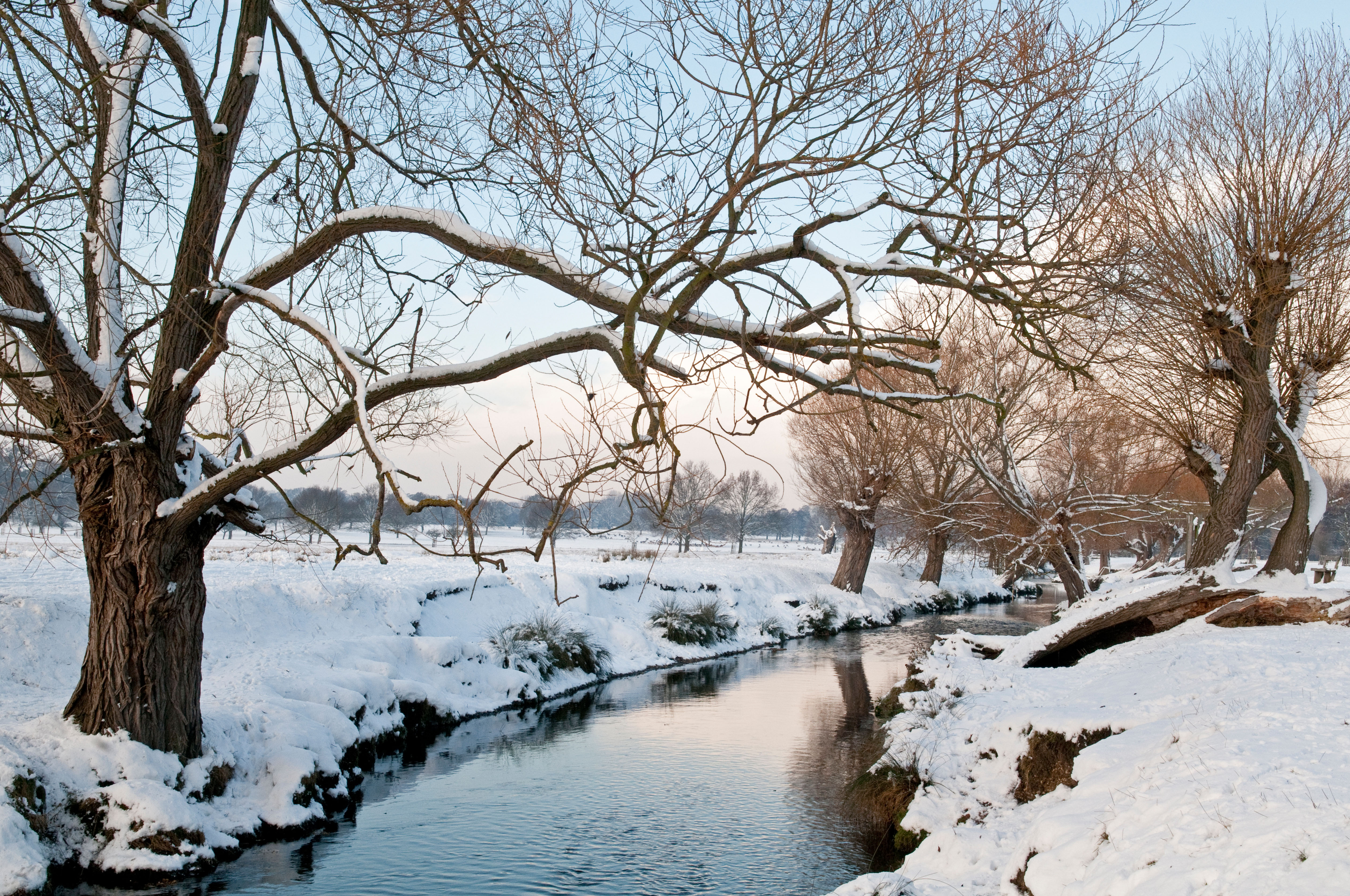 Wintry scene of lake in Richmond Park covered in snow 