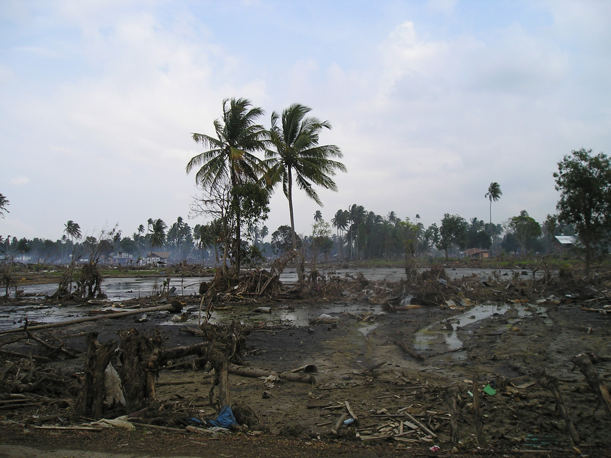 The aftermath of the tsunami in Sri Lanka