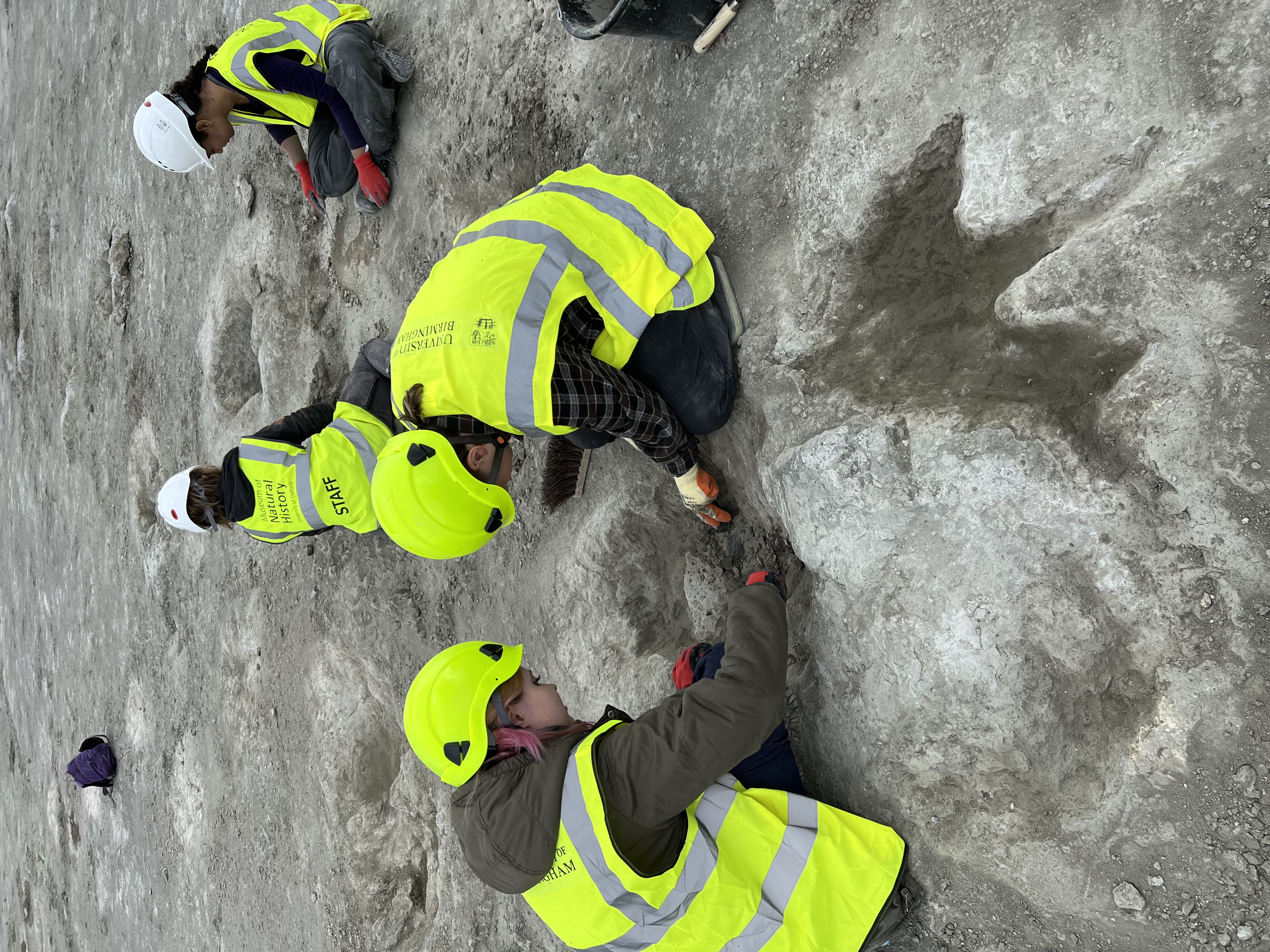 Hundreds of dinosaur footprints dating back 166 million years found in quarry