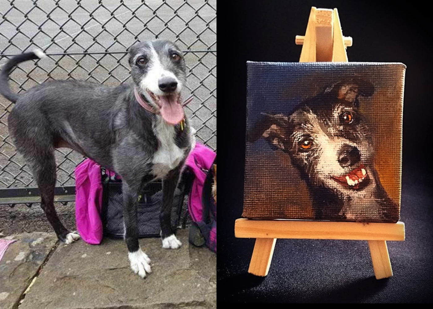 Dog next to mini painting 