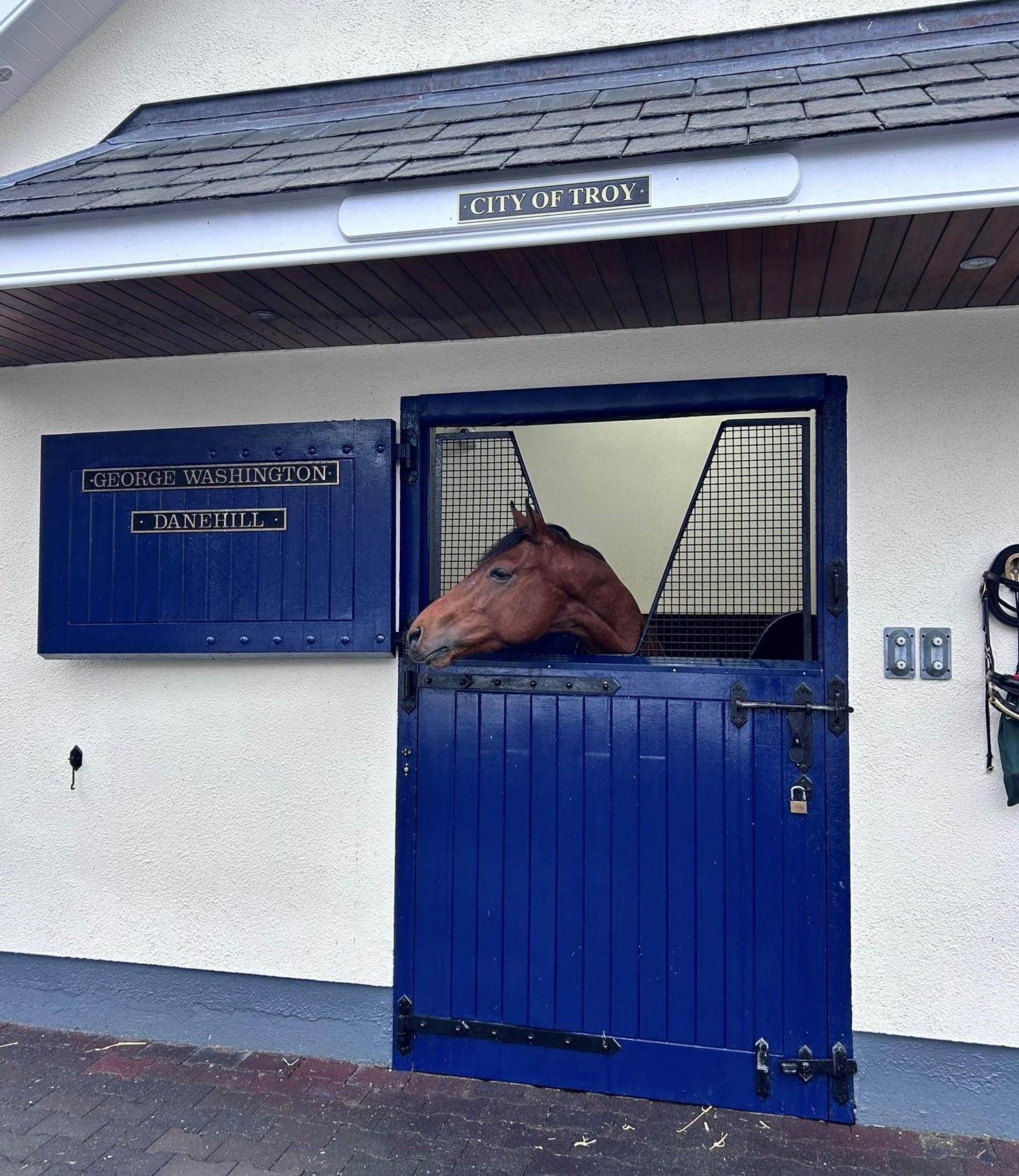 City Of Troy at Coolmore 