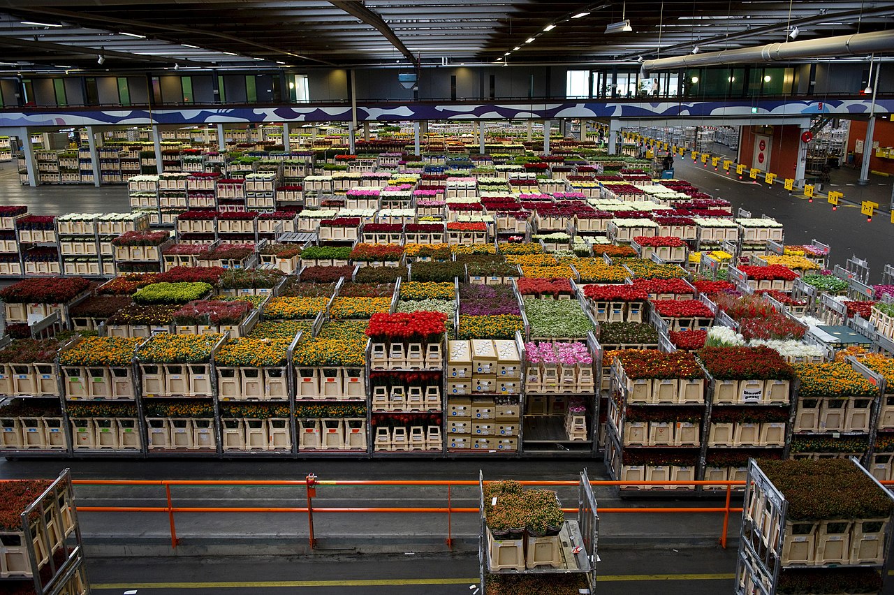 FloraHolland flower warehouse in The Netherlands. (Naaldwijk Rijksoverheid)