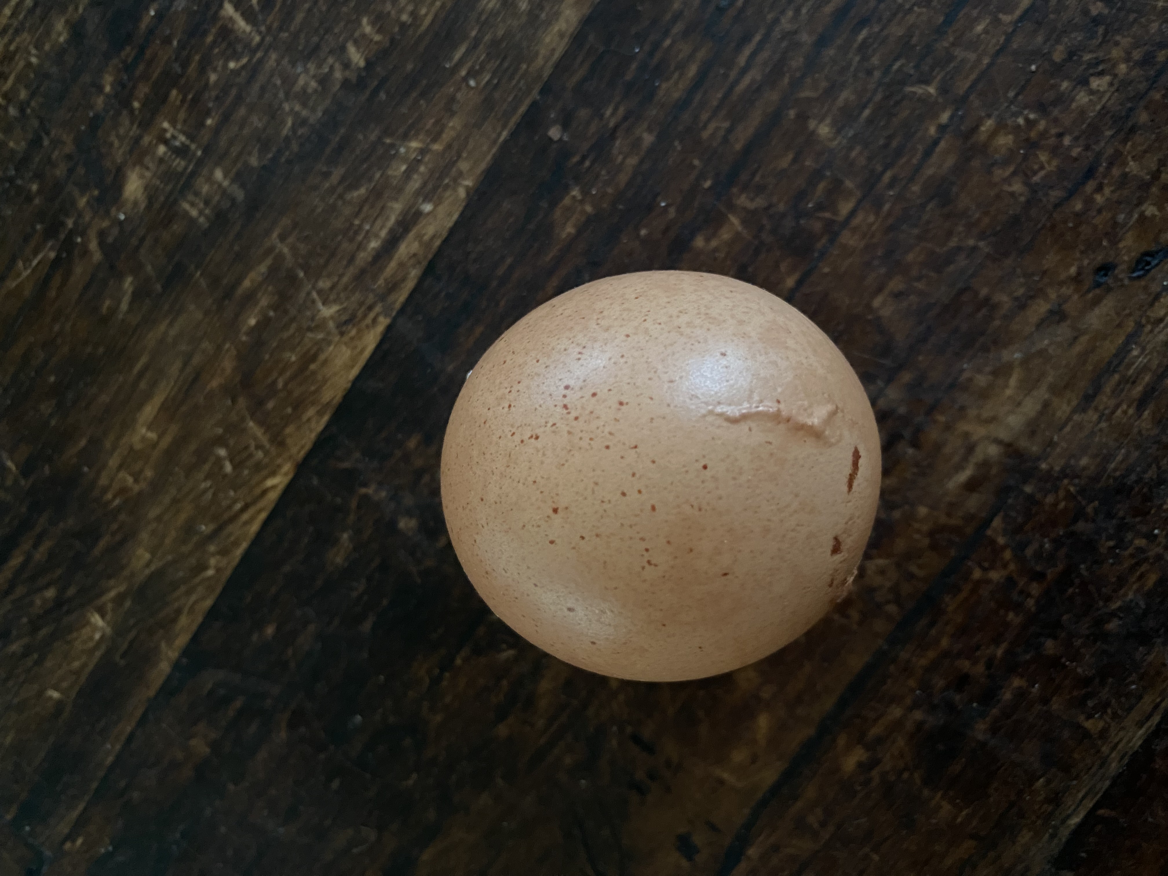 A spherical egg