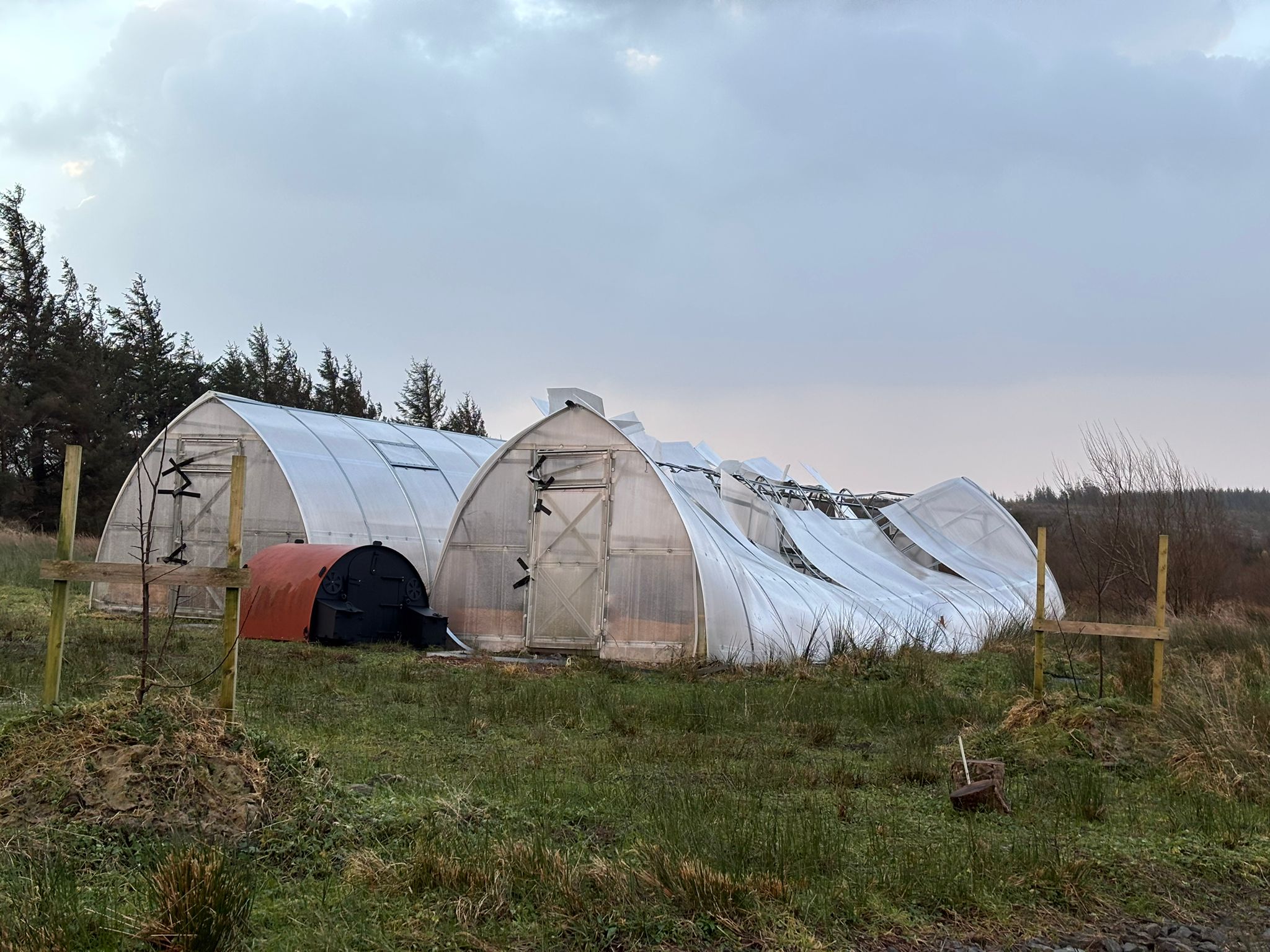 Damaged polytunnel