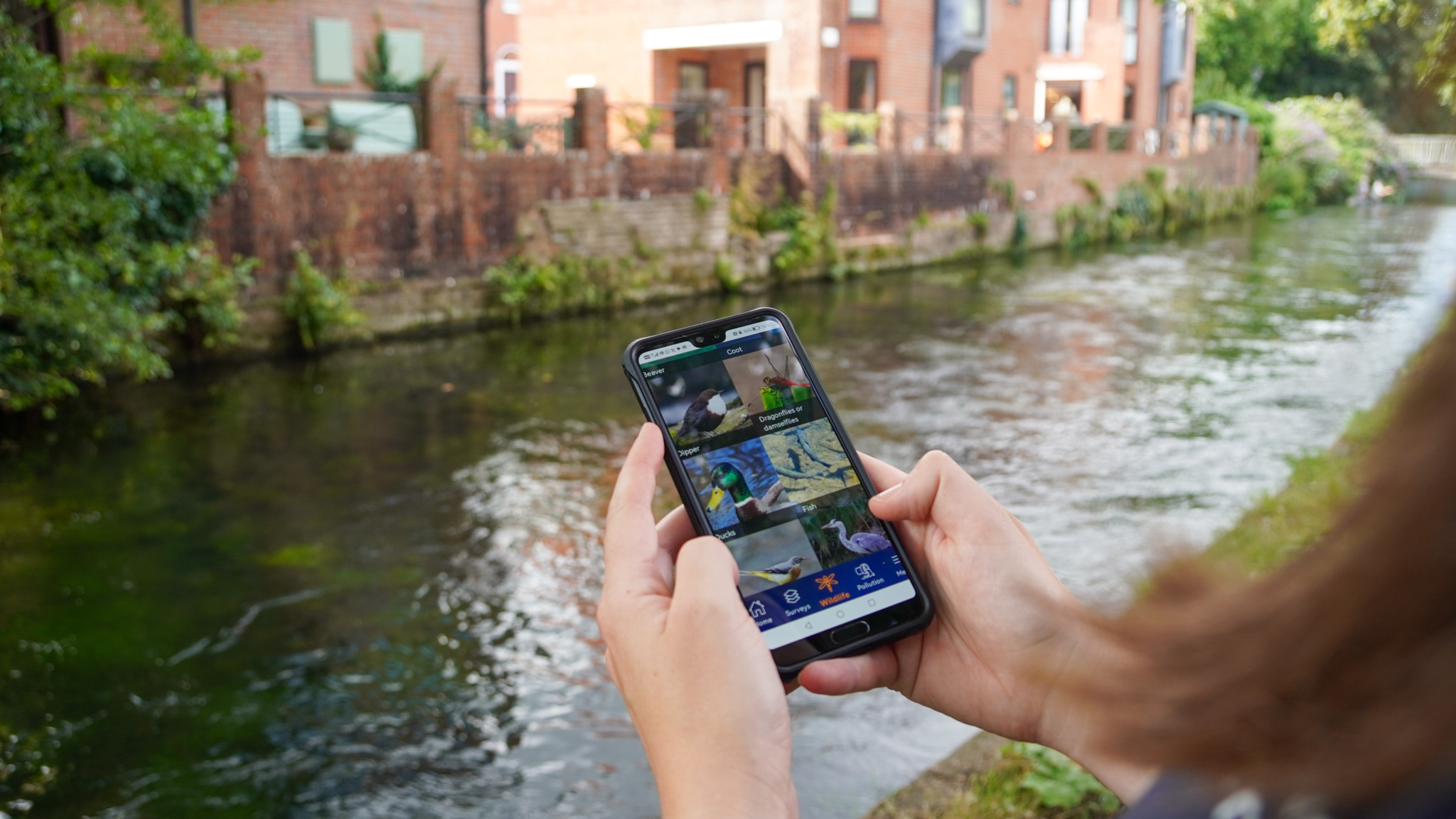 A smartphone with a nature spotting app being held next to a canal