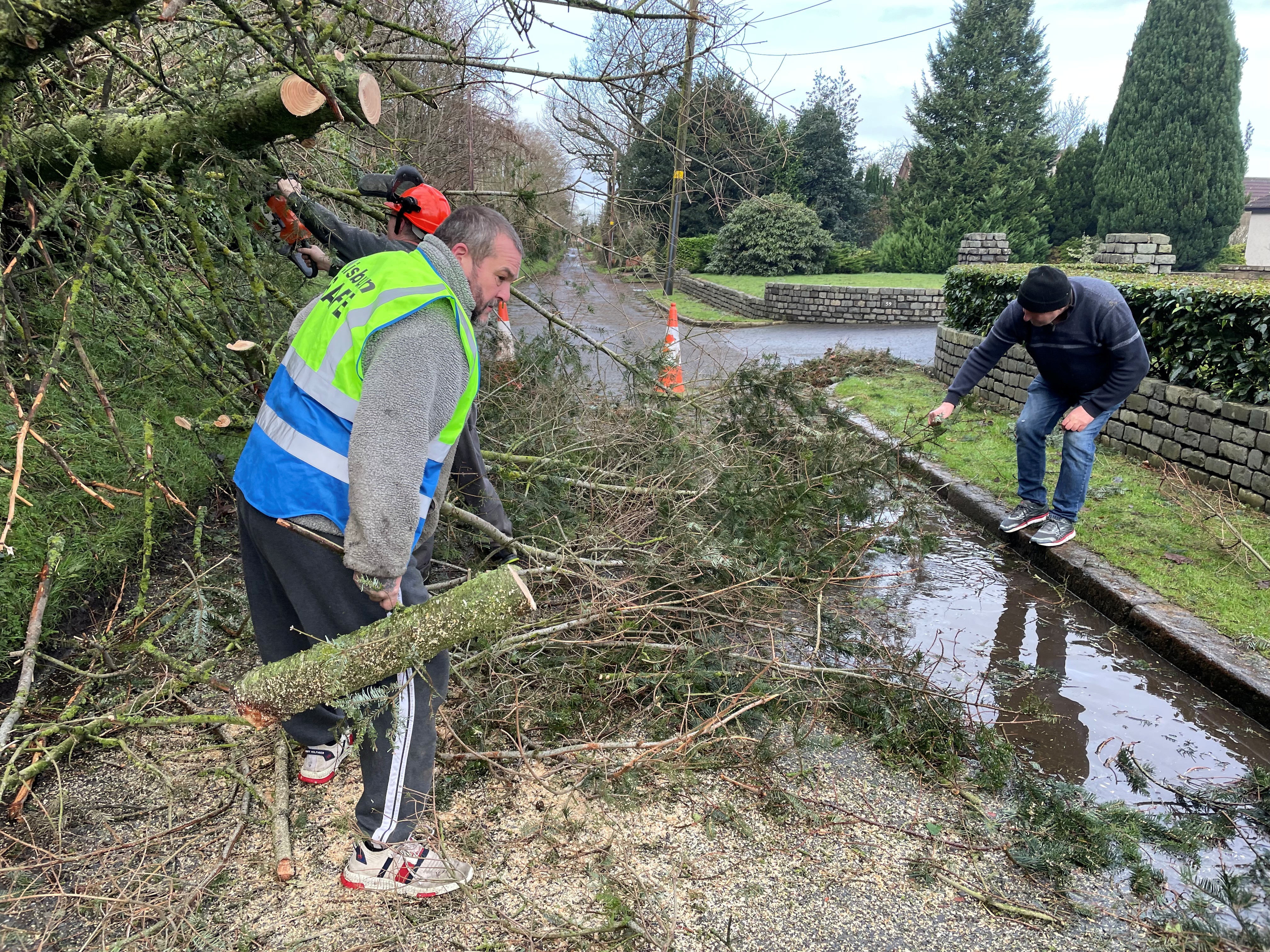 Two men move parts of a fallen tree