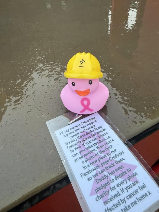 Rubber duck with tag