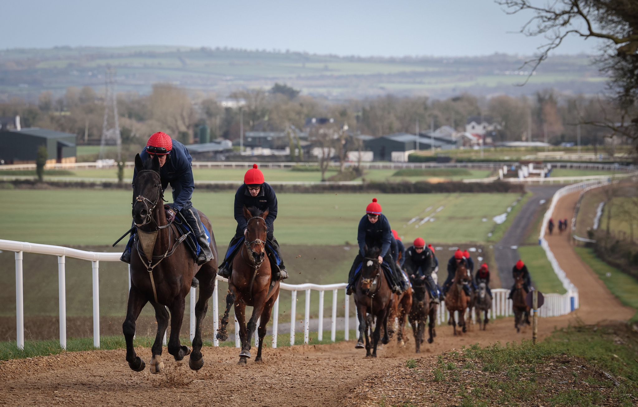 Gavin Cromwell's Cheltenham team on the gallops