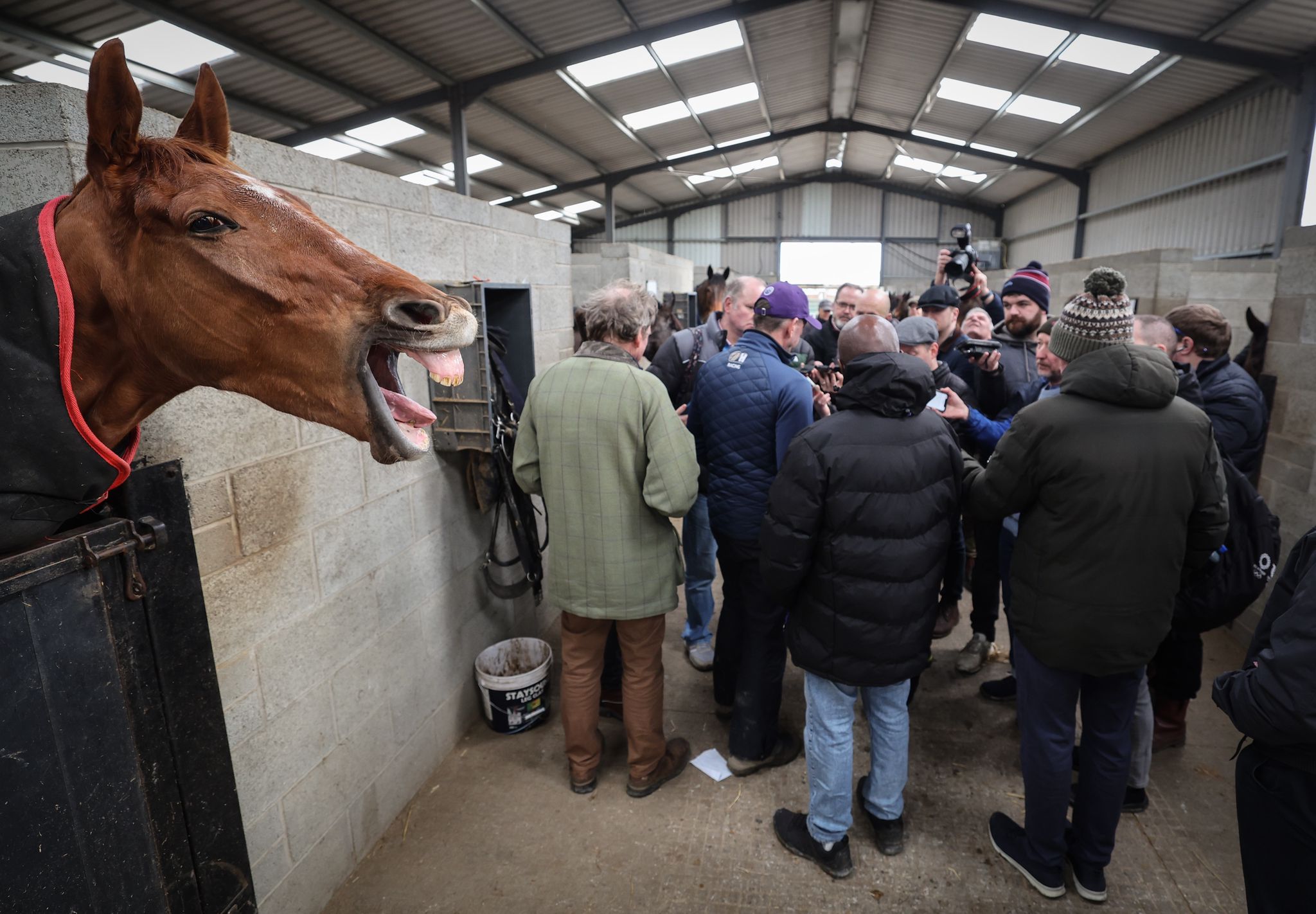 Gavin Cromwell talks through his Cheltenham Festival hopes