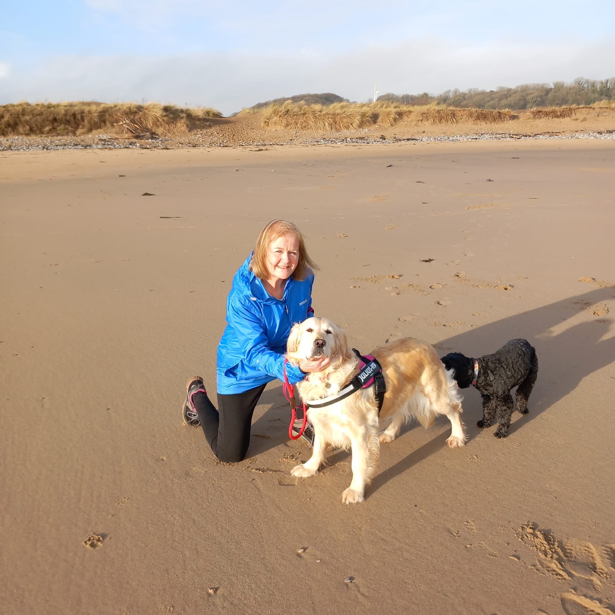 Seren on the beach with Andrea Phillips and another dog