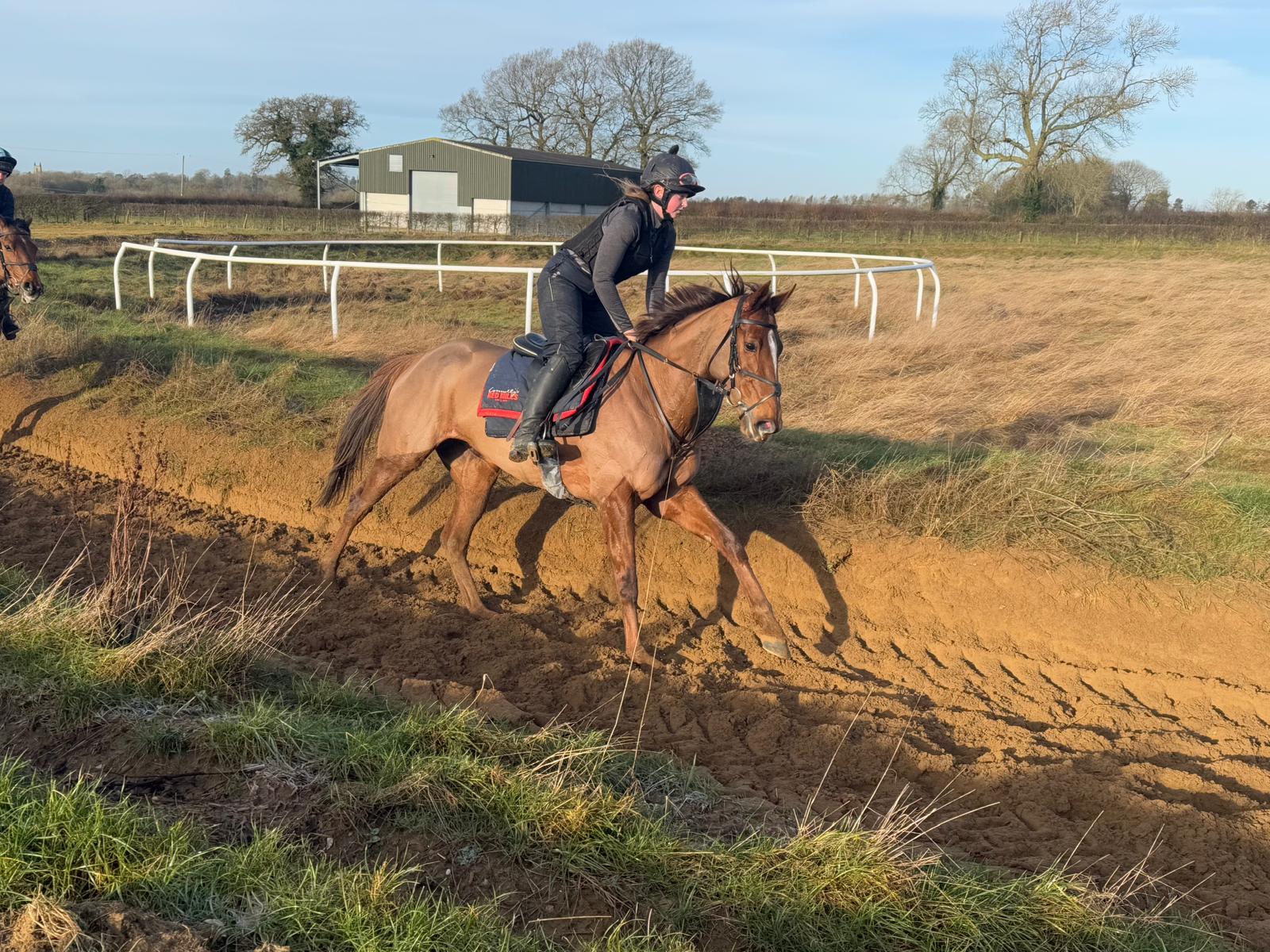 Plus Point is a new addition to the yard from the Flat