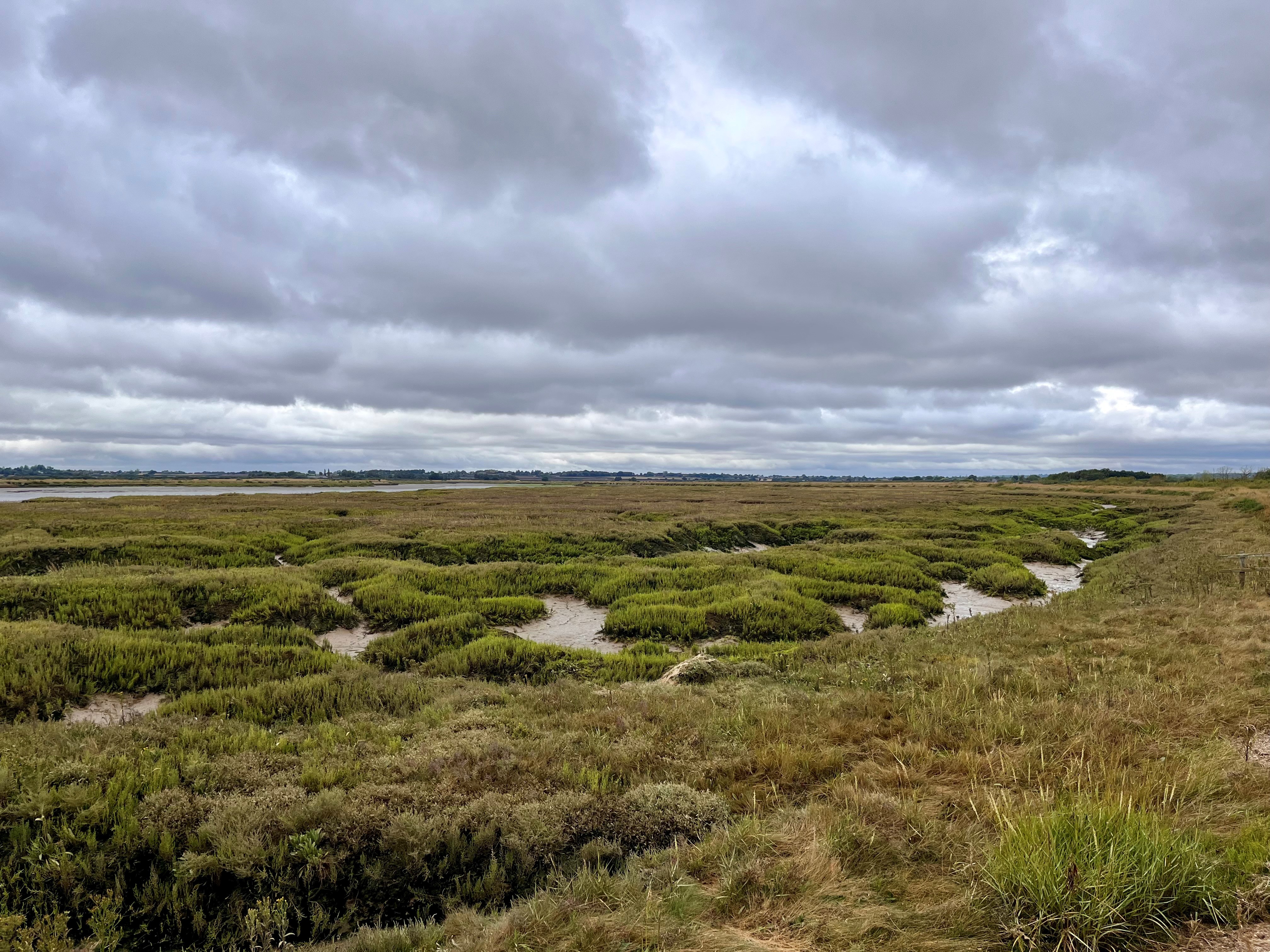 General view of Saltmarsh