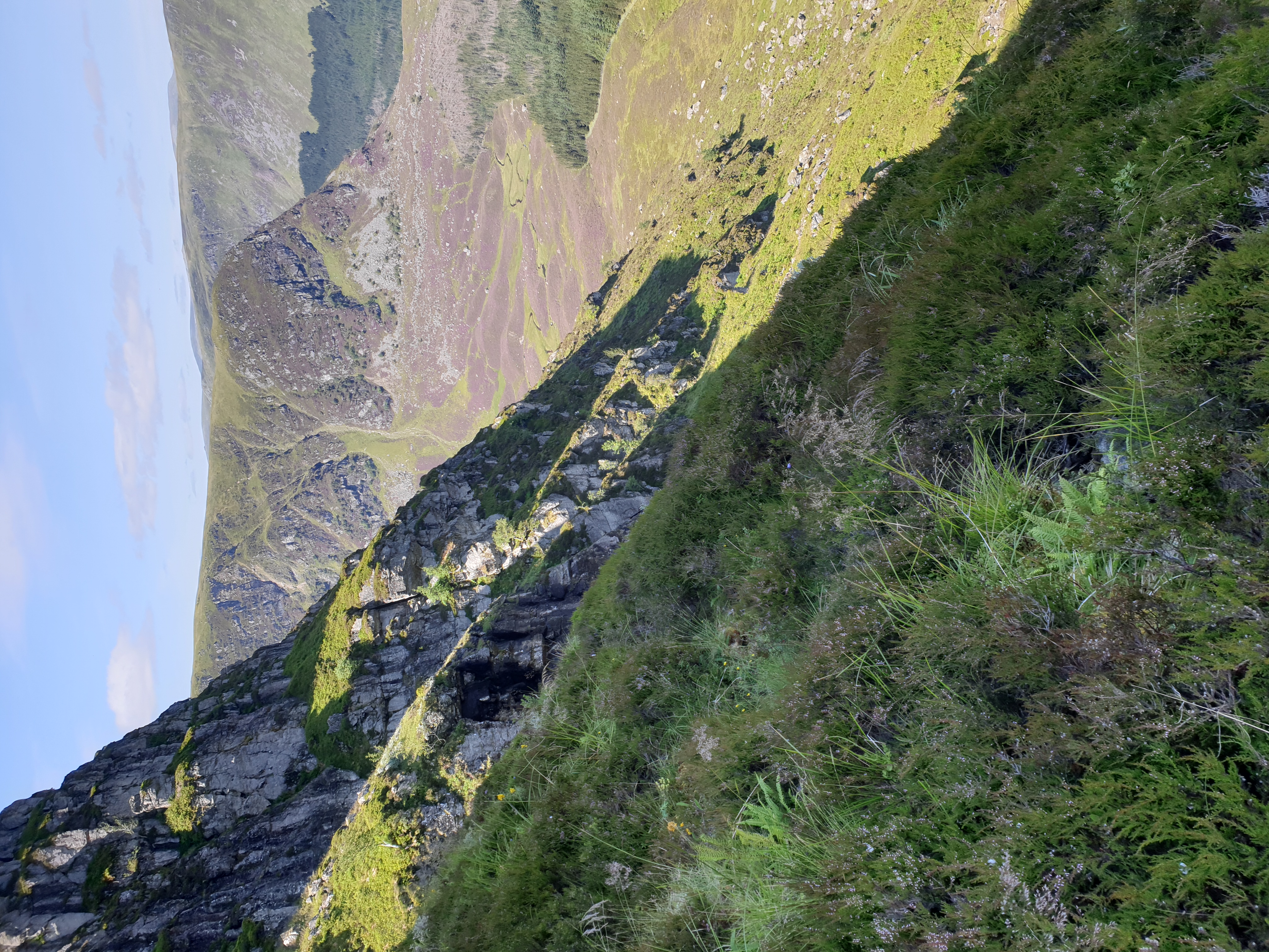 A steep mountainside with low growing vegetation above a valley