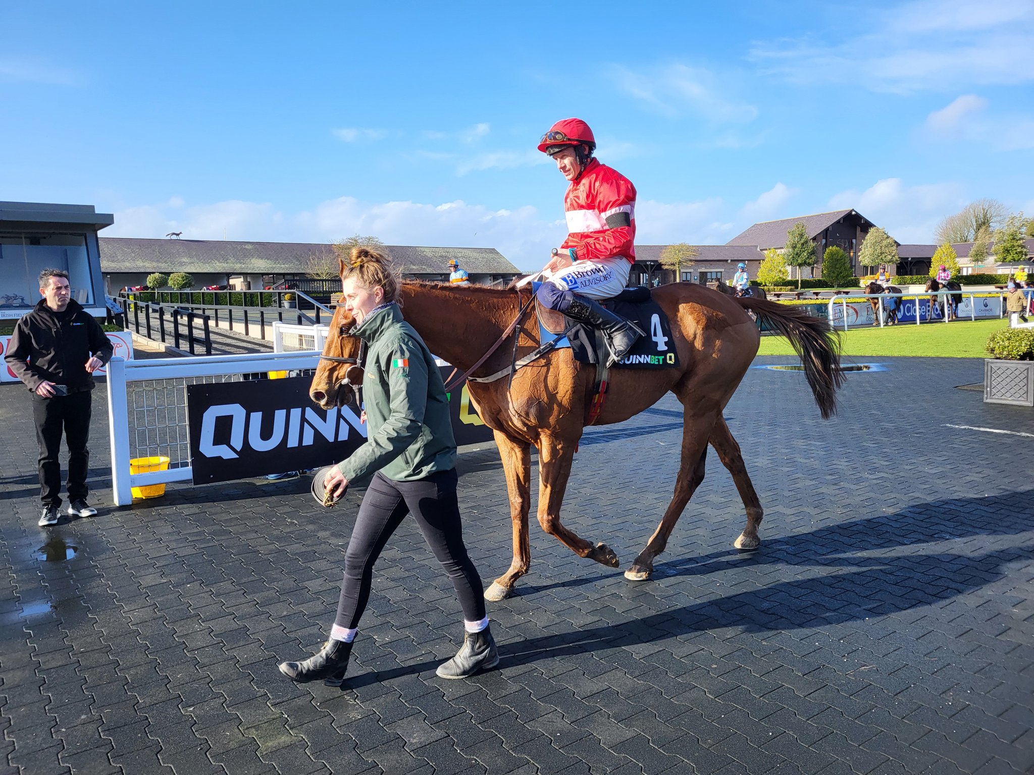 High Class Hero after winning at Punchestown