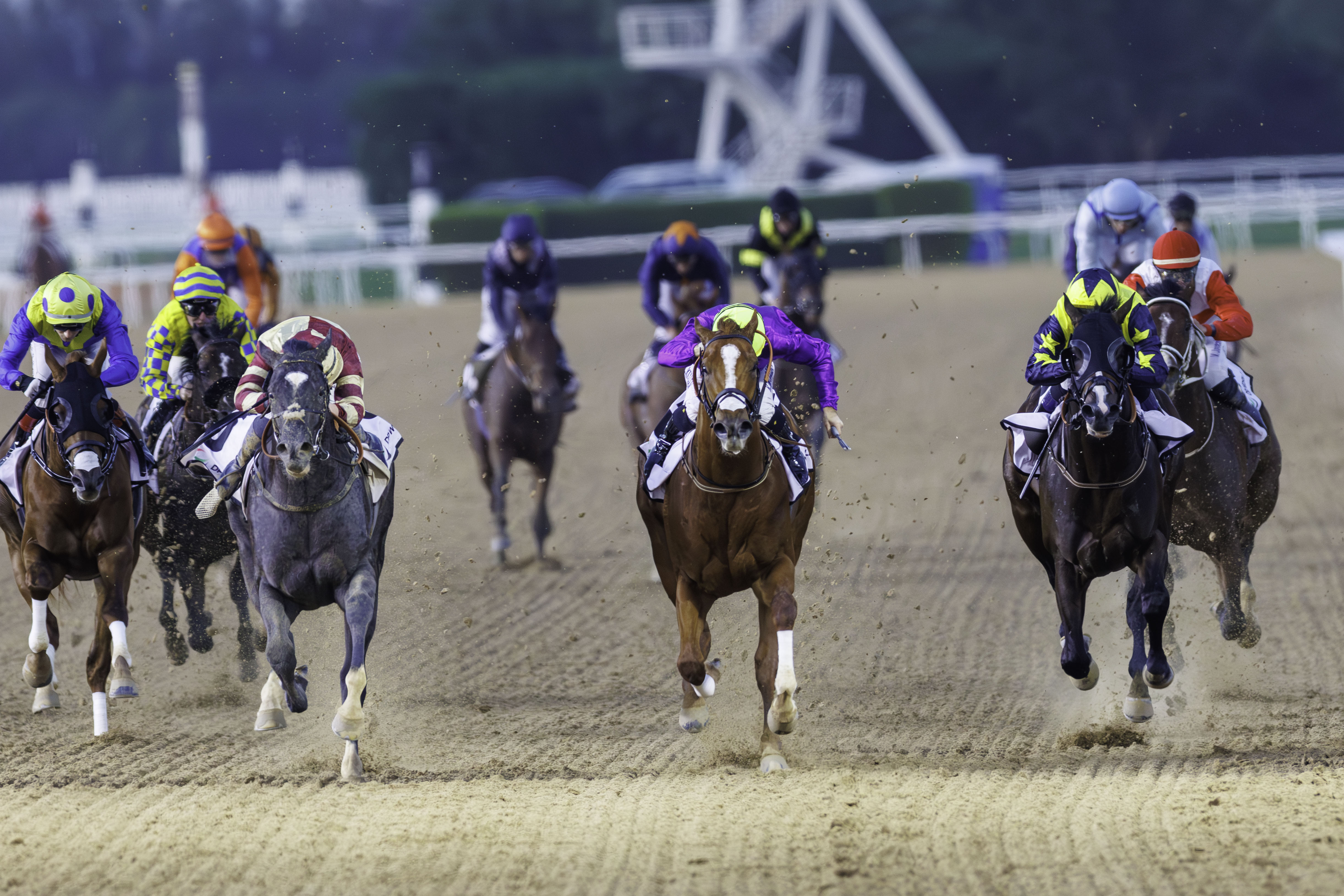 Galactic Star, centre in purple colours, just had enough in reserve to hold off Heart Of Honor