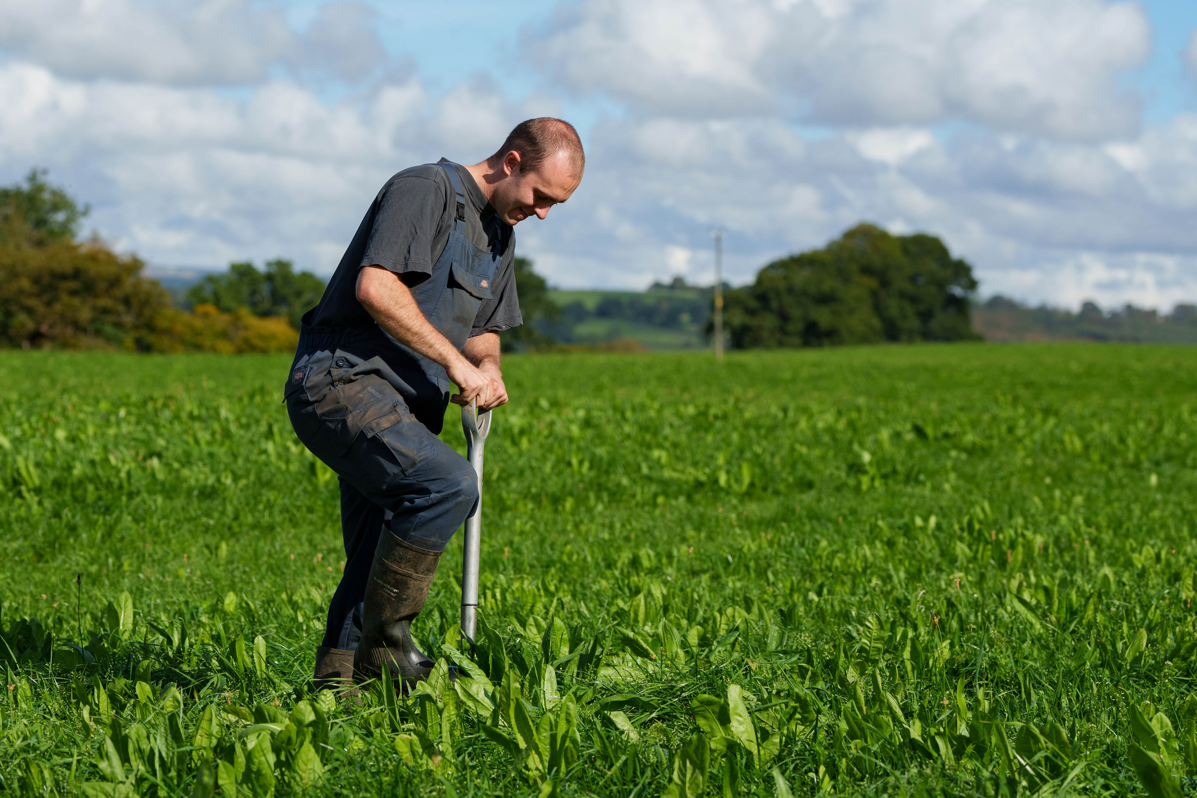 Farmer Ben Smith on Cotehill Farm in Cumbria