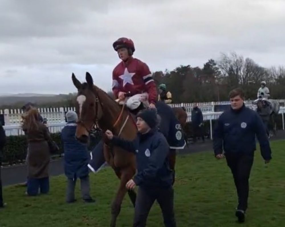 Jacob's Ladder returns to the winner's enclosure at Naas