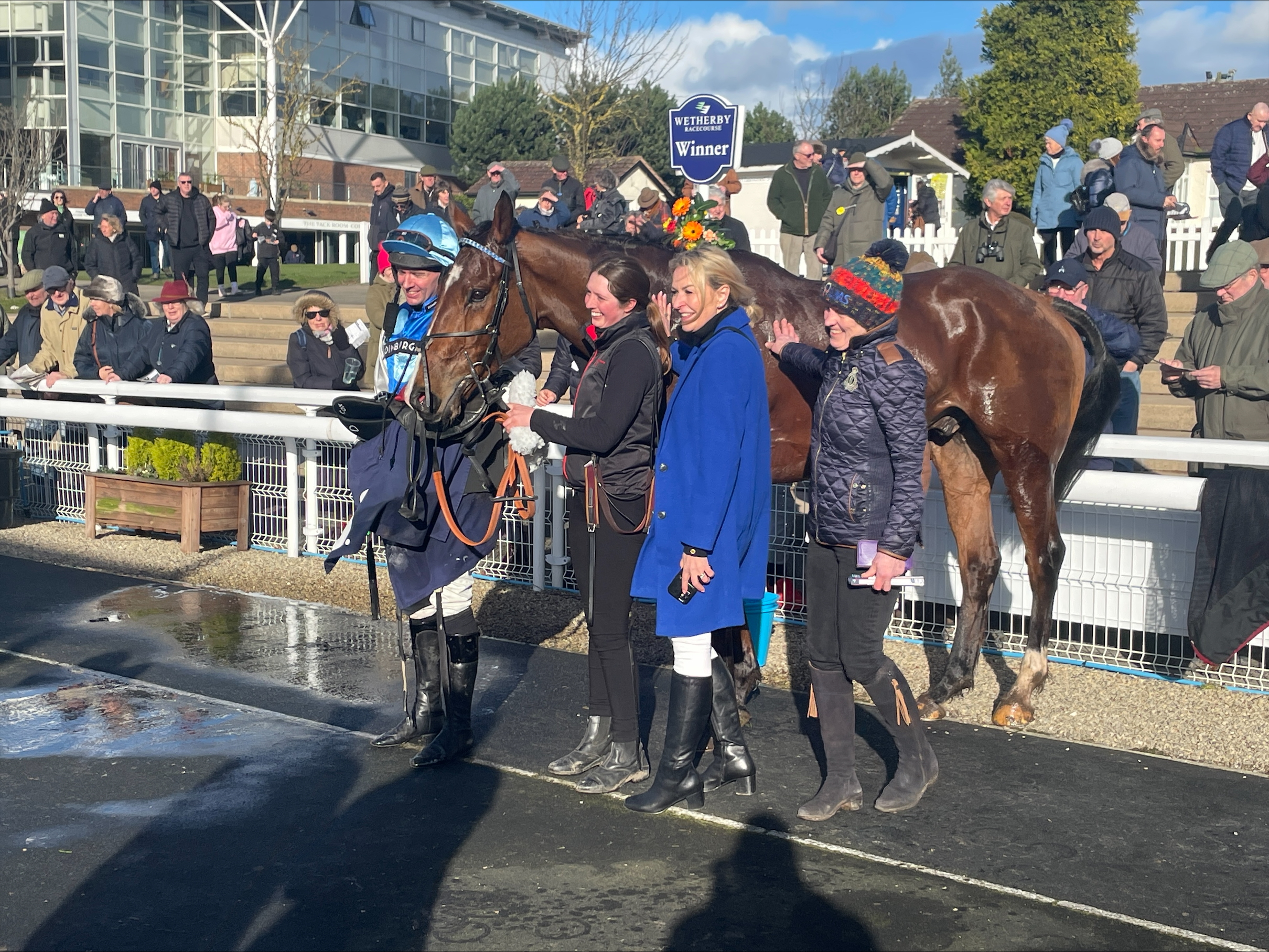 De Legislator in the parade ring after winning at Wetherby