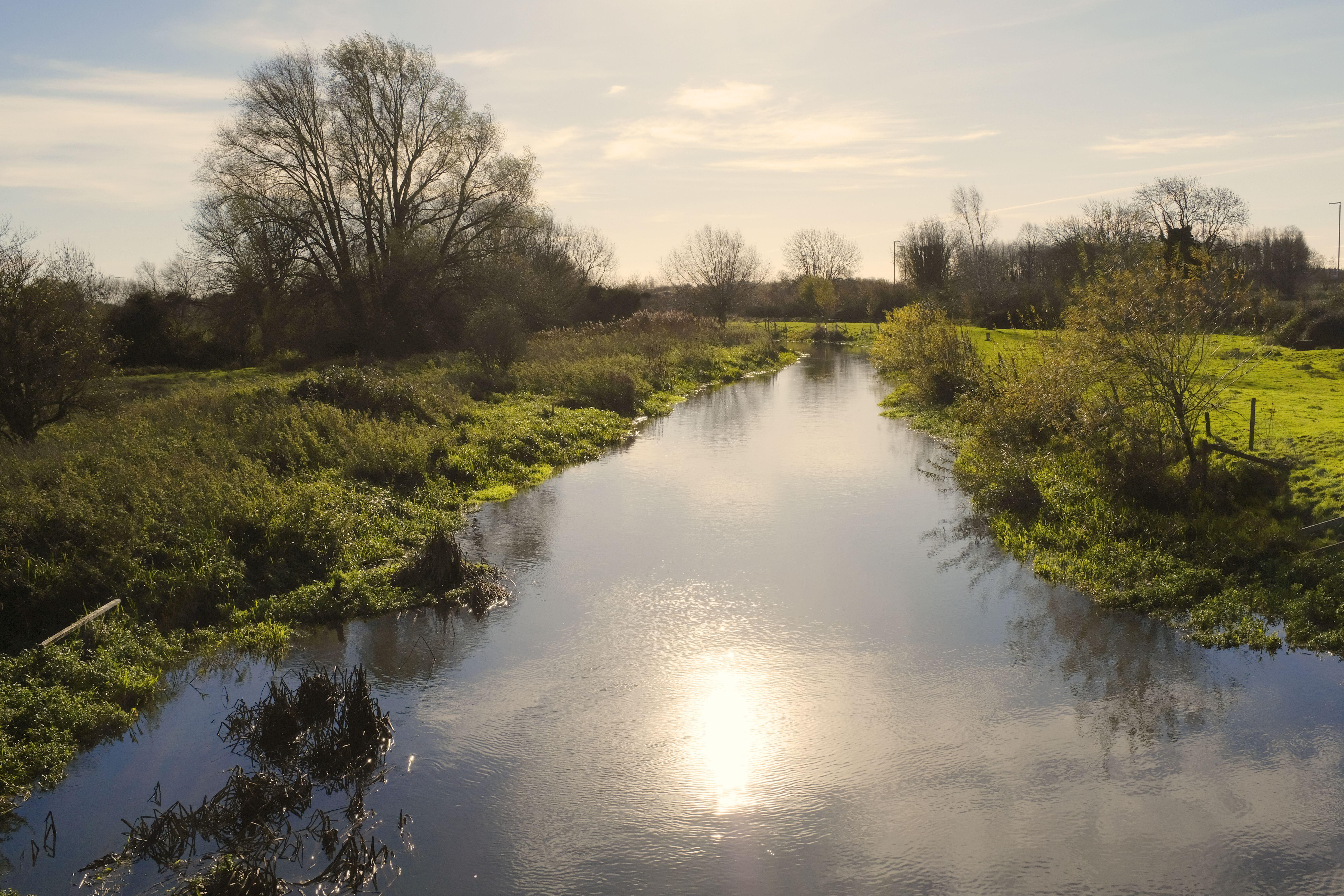 A river flowing through low vegetation