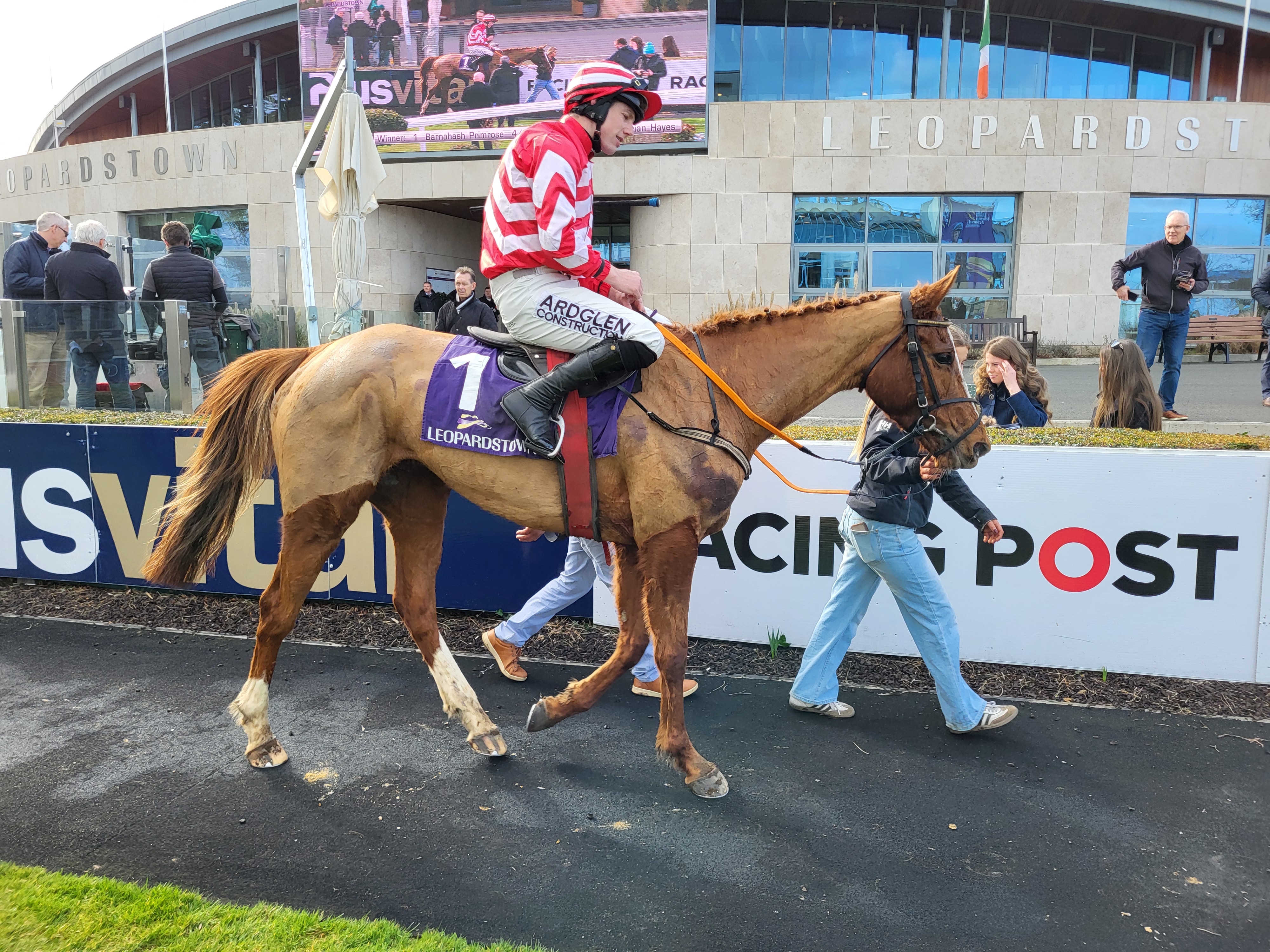 Barnahash Primrose returns to the Leopardstown winner's enclosure