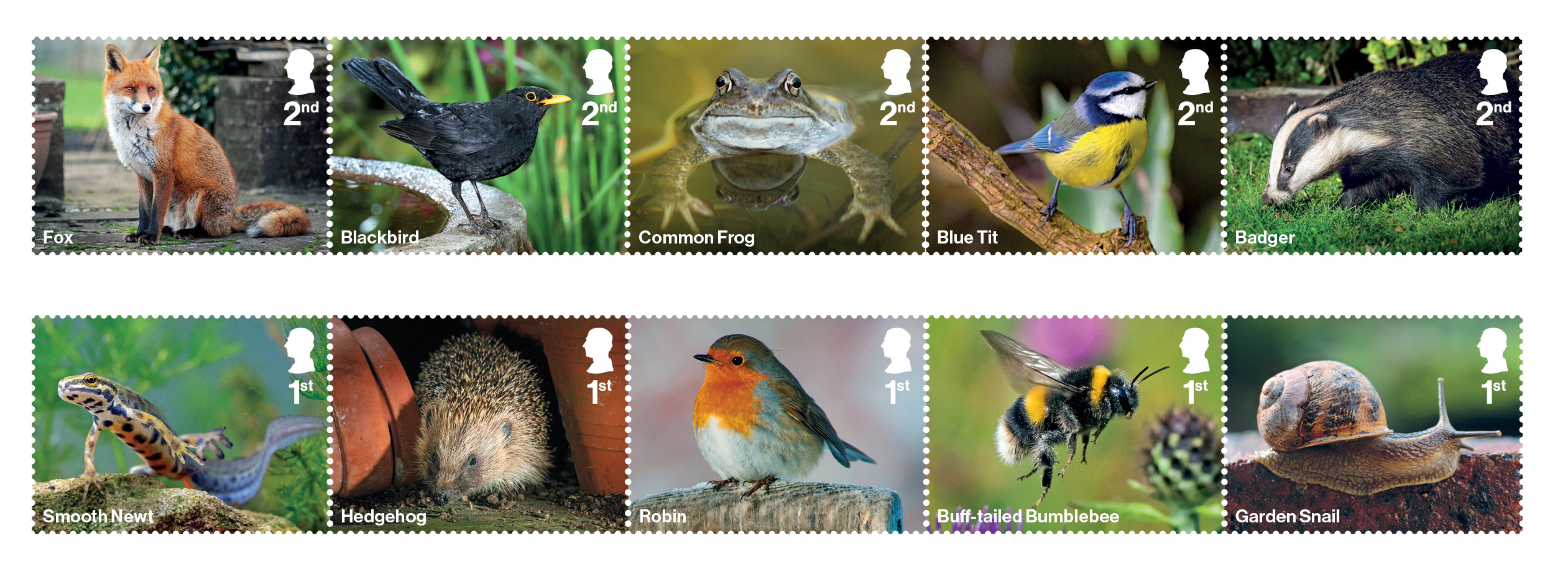 All 10 of the garden wildlife stamps