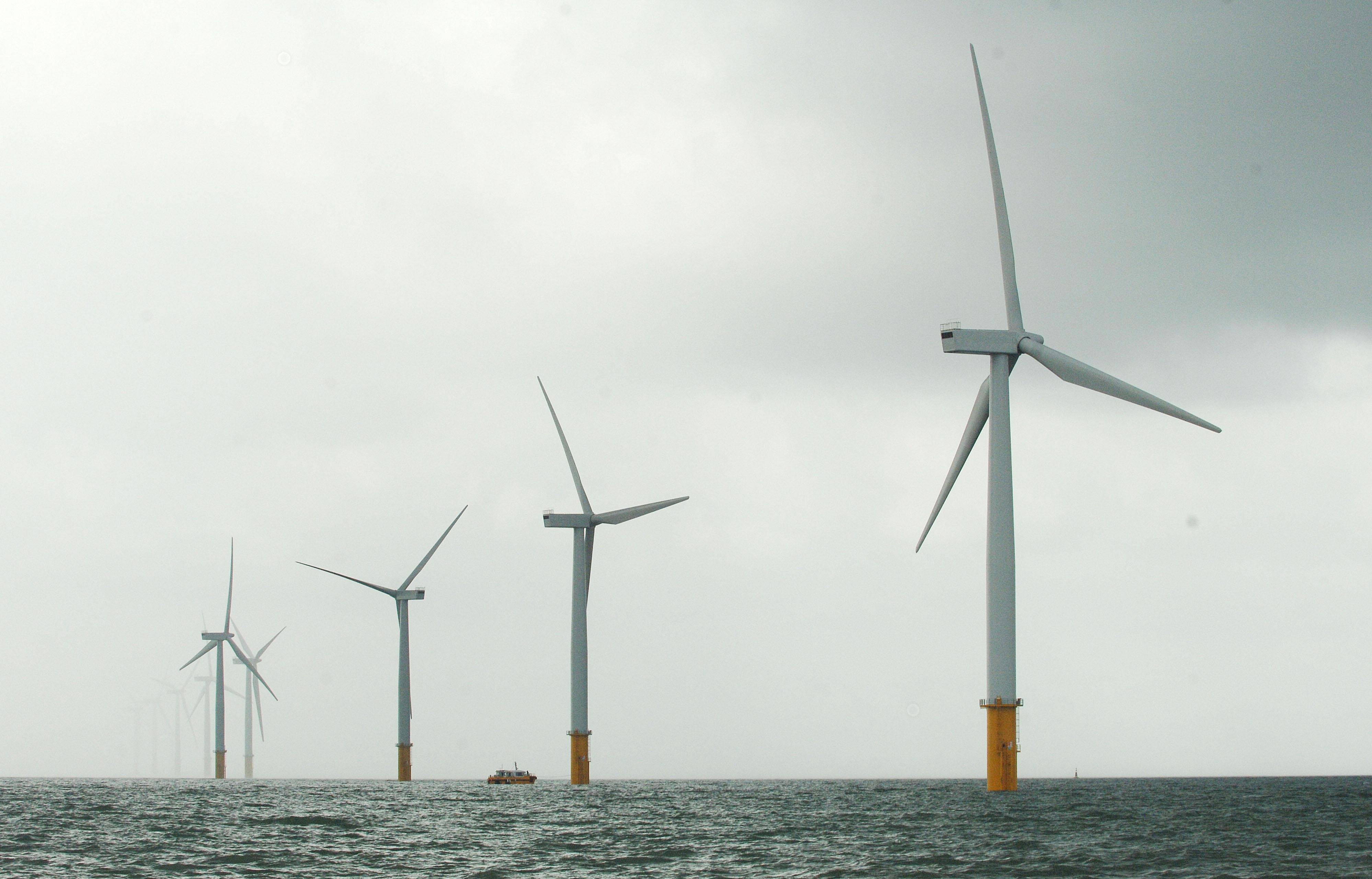 An offshore wind farm