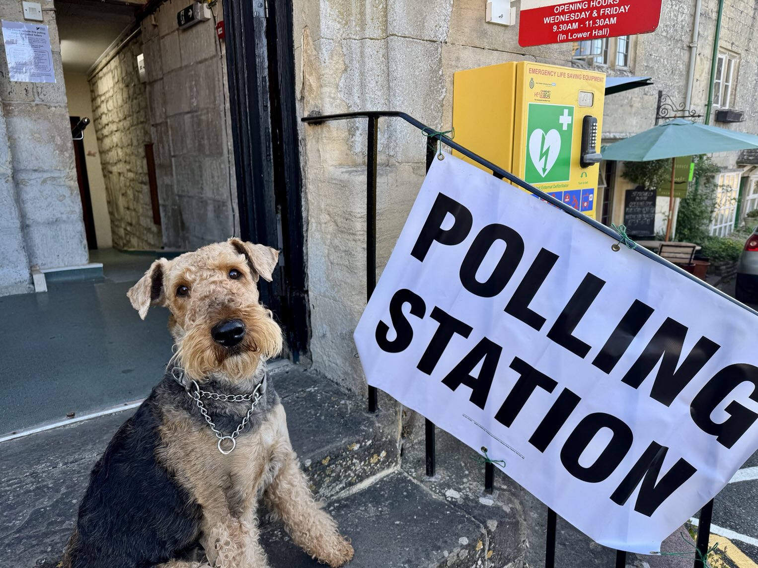 Dog outside polling station 