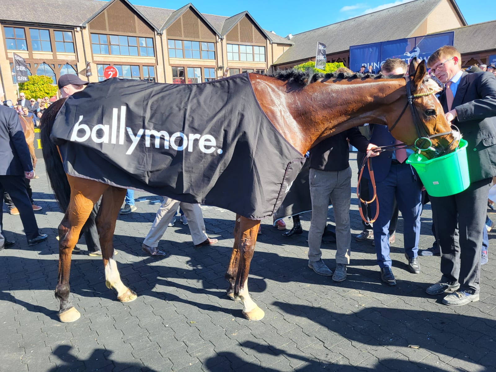 Lulamba after winning at Punchestown