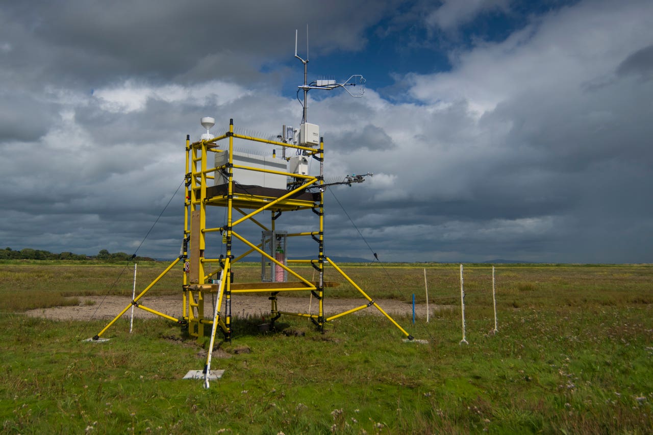 Carbon flux tower situated on saltmarsh