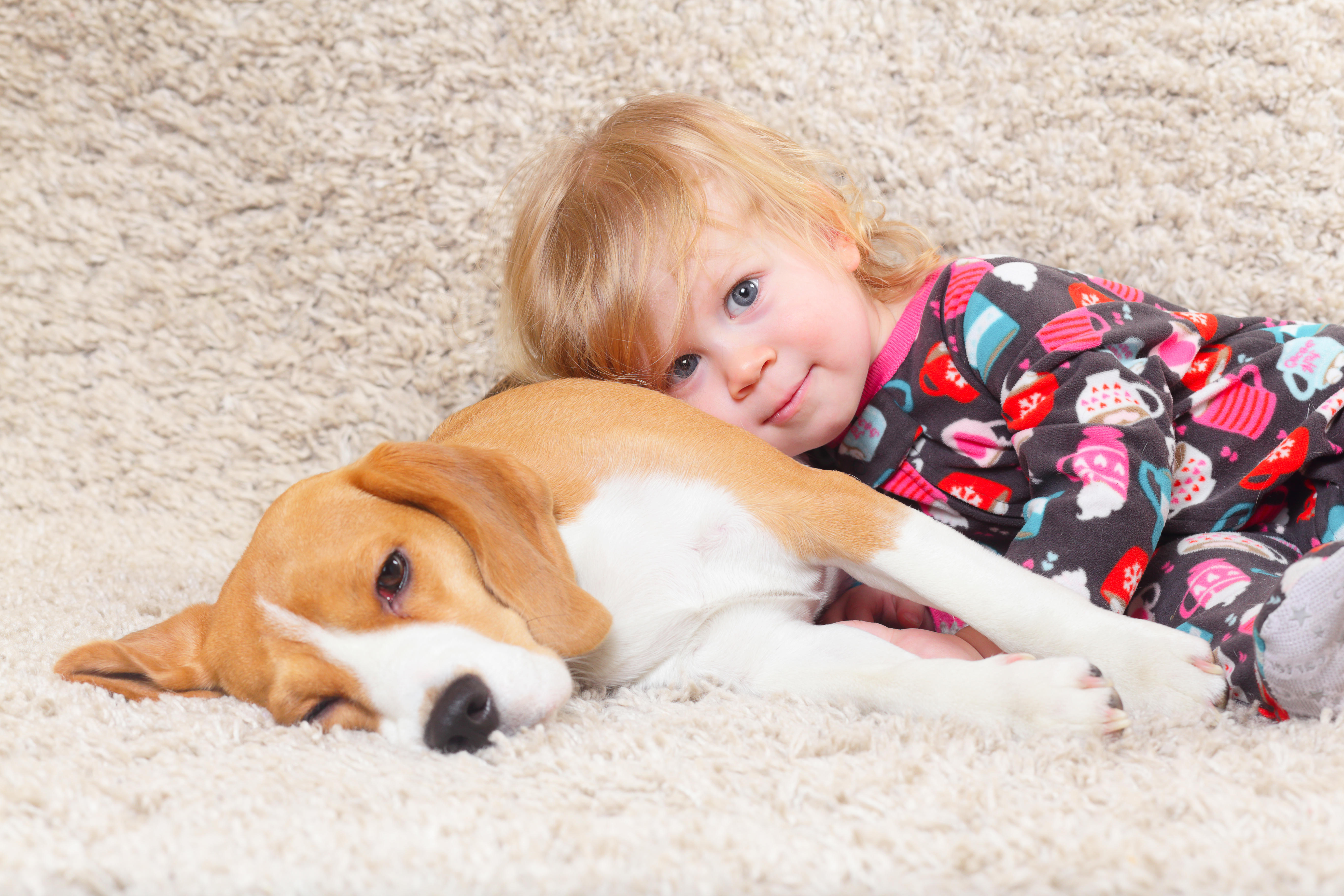 A child with a dog