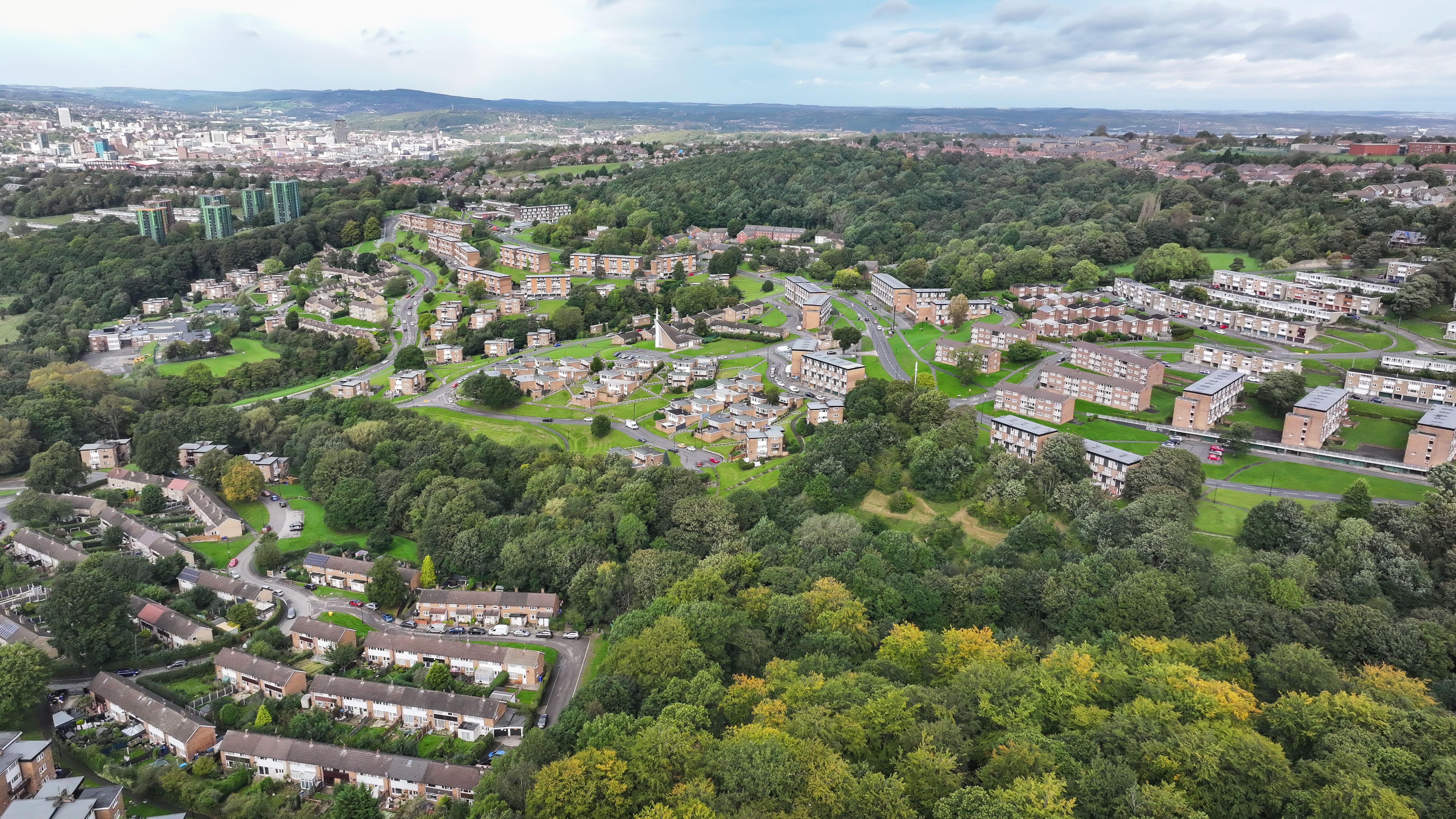 Urban canopy cover in Sheffield. (Woodland Trust/James Reader)