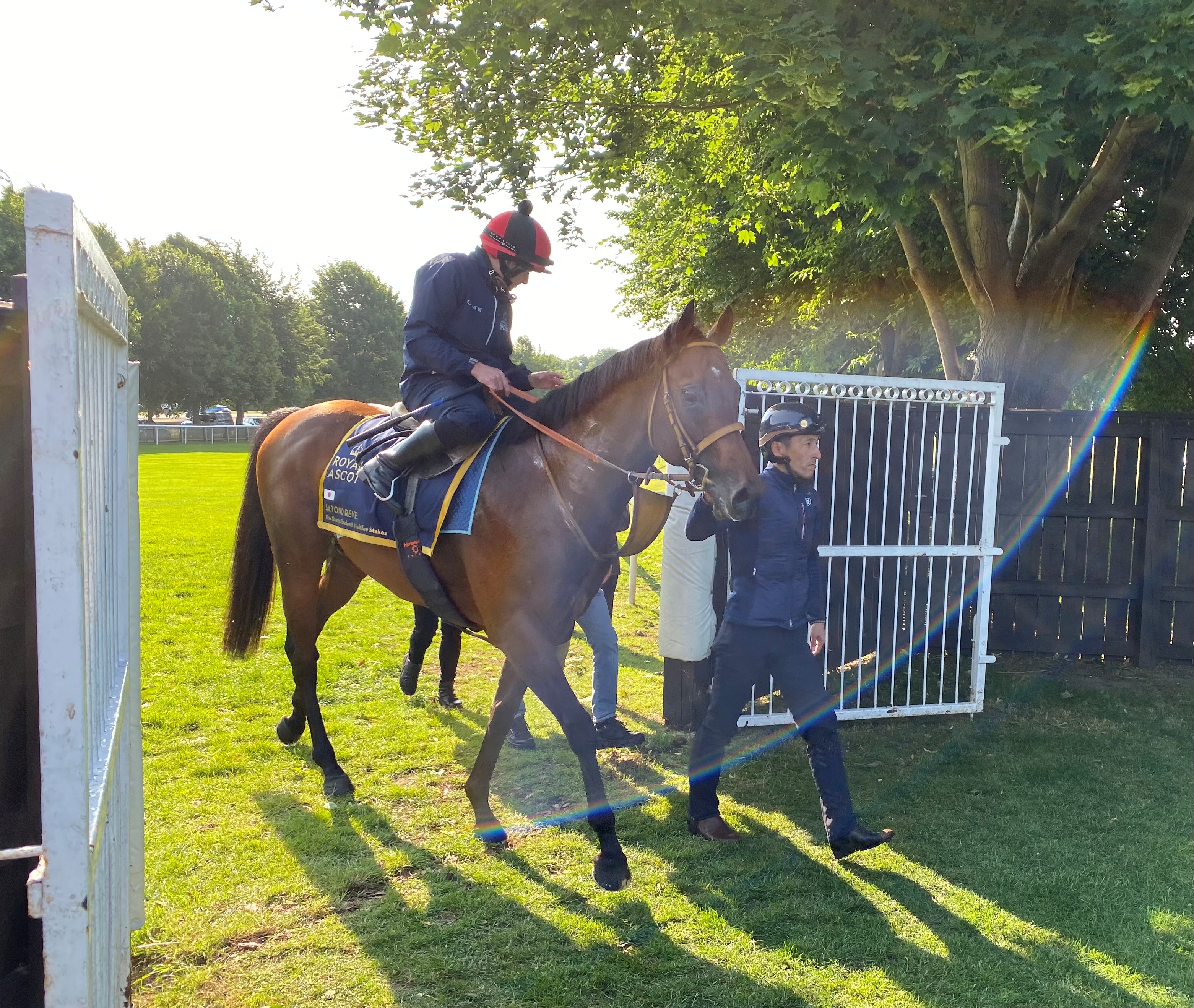 Ryan Moore rode Satono Reve at Newmarket