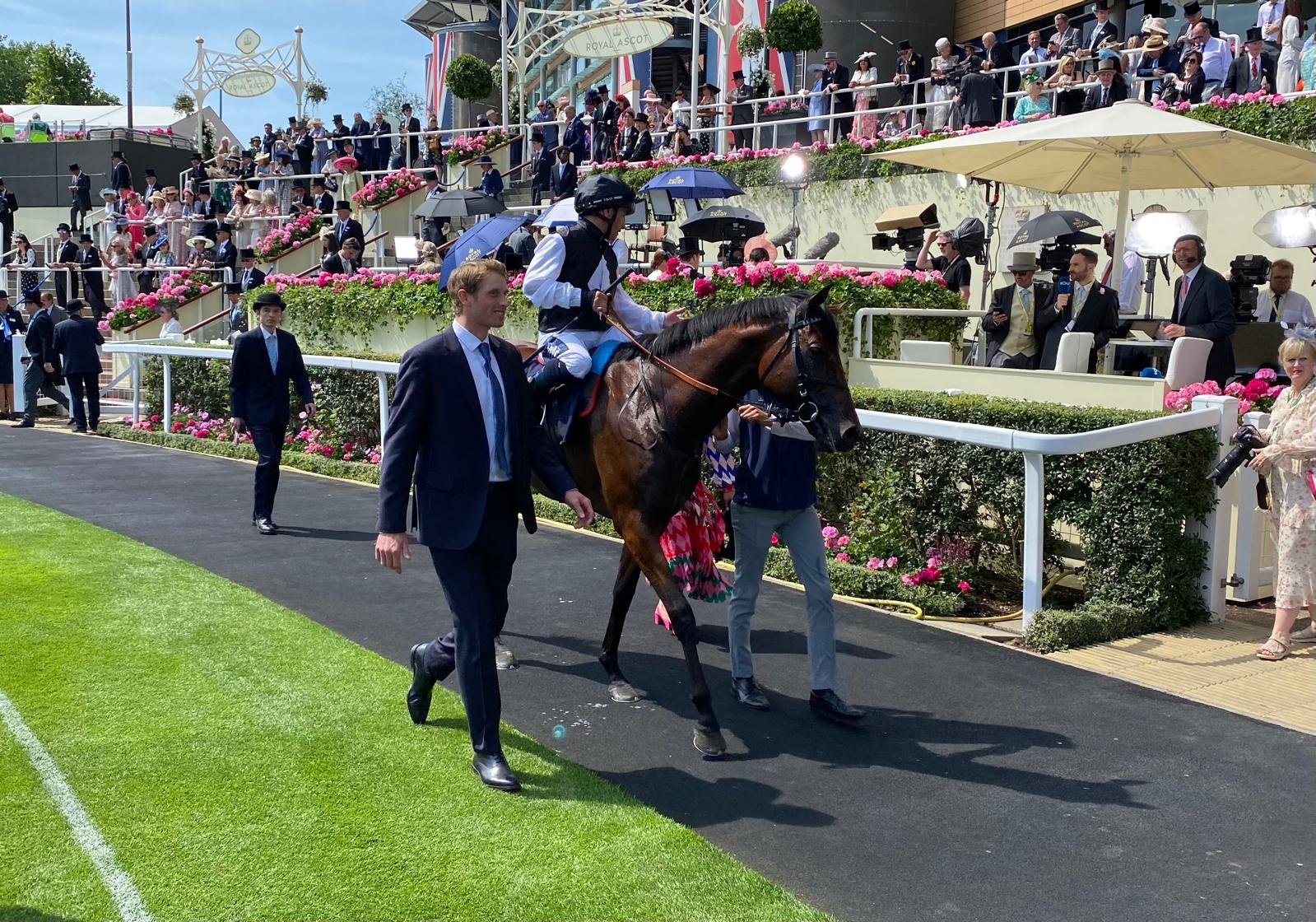 Cairo finished third in the Queen Anne at 100-1